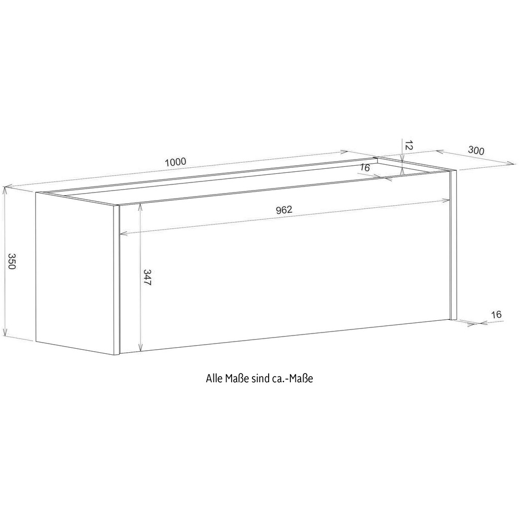 INOSIGN Aktenschrank »CiTY/GiRON«, Hängeschrank zeitlos modern, wohnliches Home Office, Breite 100 cm