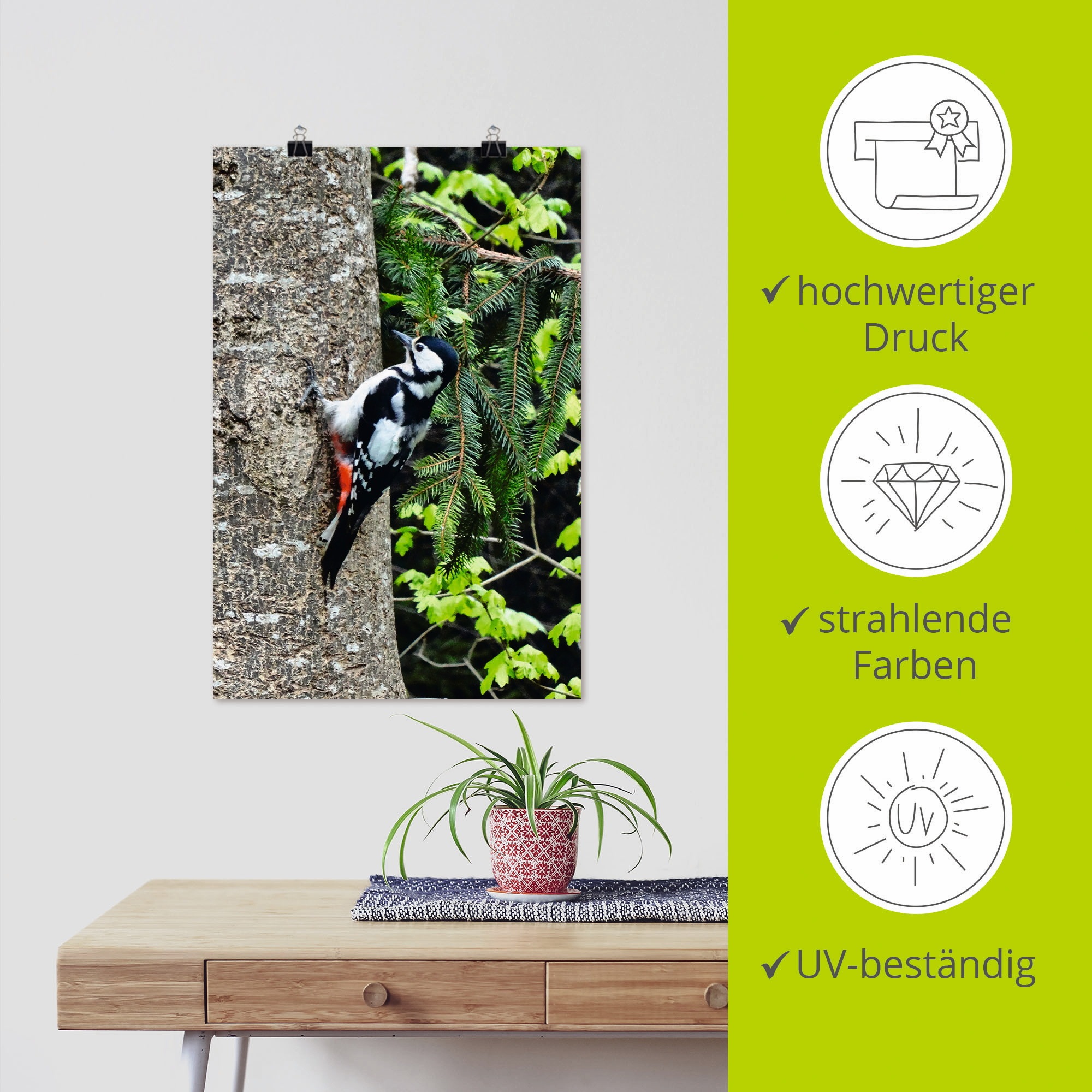 Artland Poster »Buntspecht im Wald« Vögel 1 Stk. tlg. ohne Rahmen