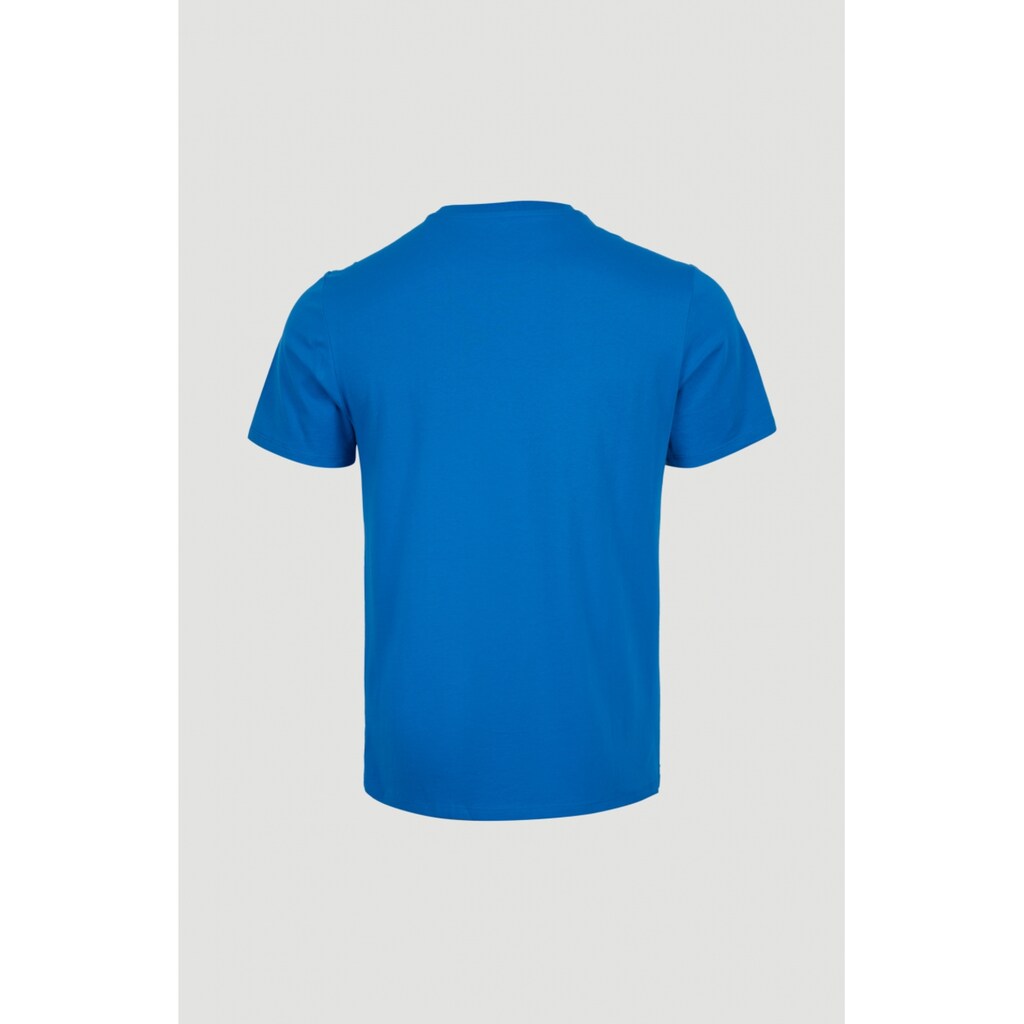 O'Neill T-Shirt »ARROWHEAD T-SHIRT«
