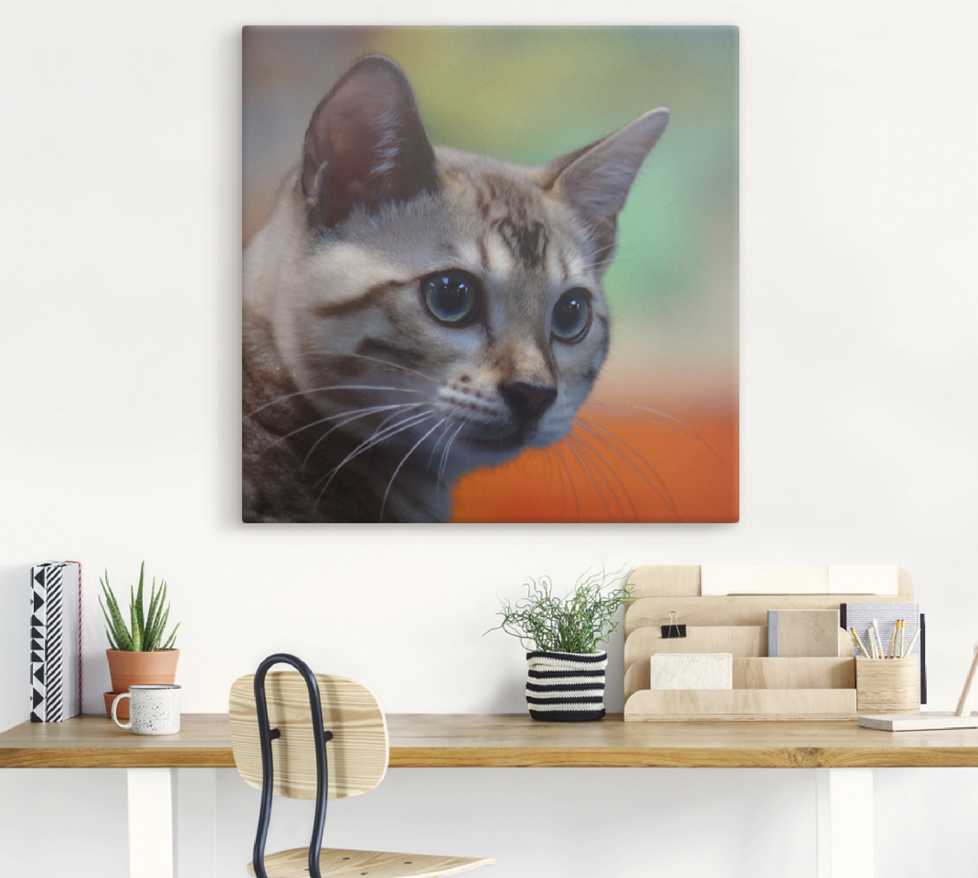 Artland Wandbild »Weiße Bengalkatze«, Haustiere, (1 St.), als Alubild, Leinwandbild, Wandaufkleber oder Poster in versch. Größen