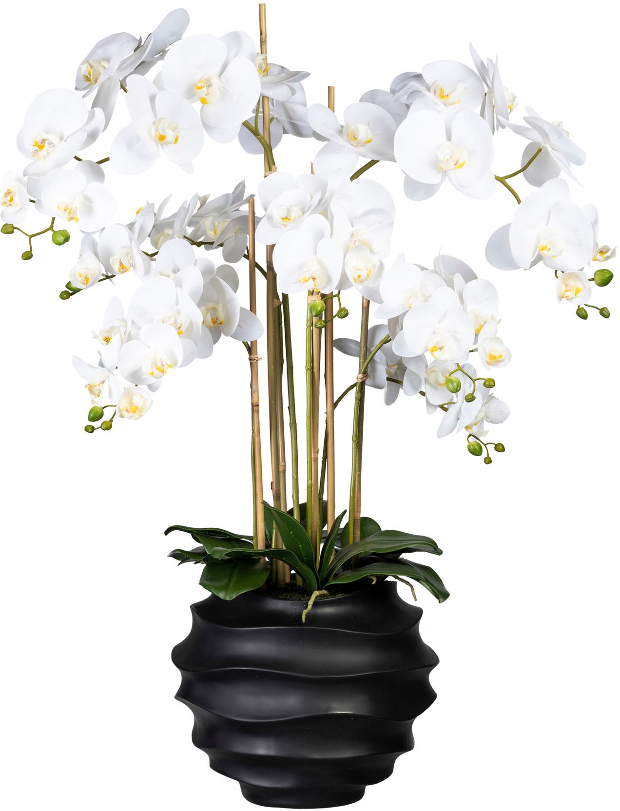 green Kunstorchidee auf Design-Kunststoffvase Creativ in »Phalaenopsis«, Rechnung bestellen