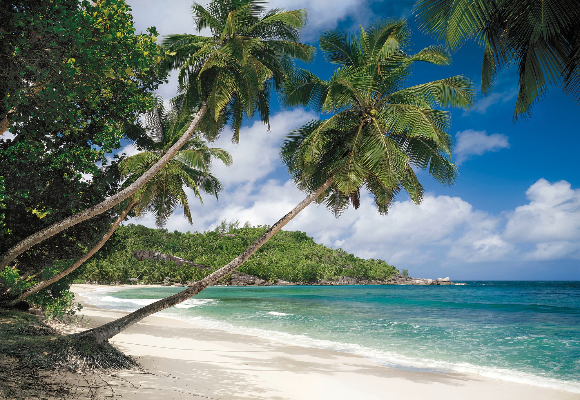Komar Fototapete »Seychellen«, 368x254 cm (Breite x Höhe) günstig online kaufen