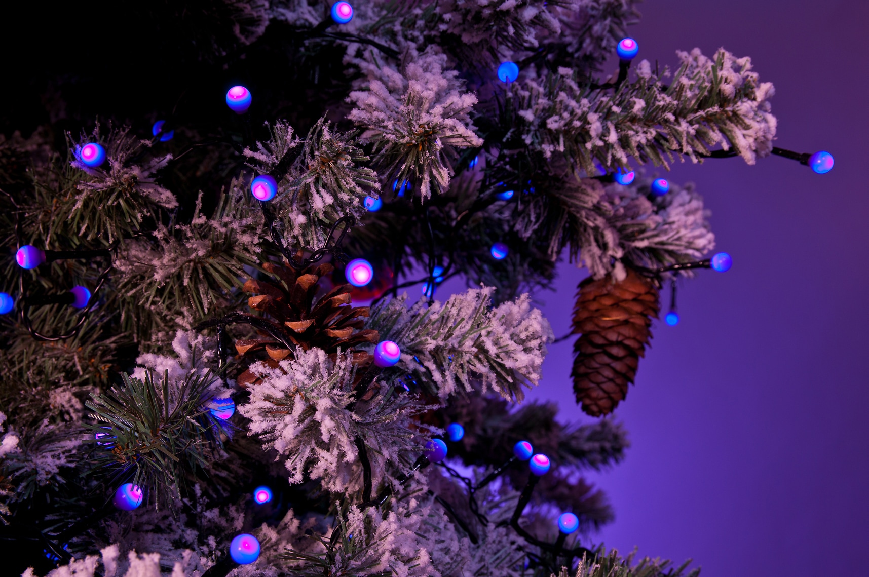 KONSTSMIDE LED-Lichterkette runde Dioden LED St.-flammig, aussen«, »Weihnachtsdeko online 80 purpurfarbene 80 bestellen Dioden, Globelichterkette
