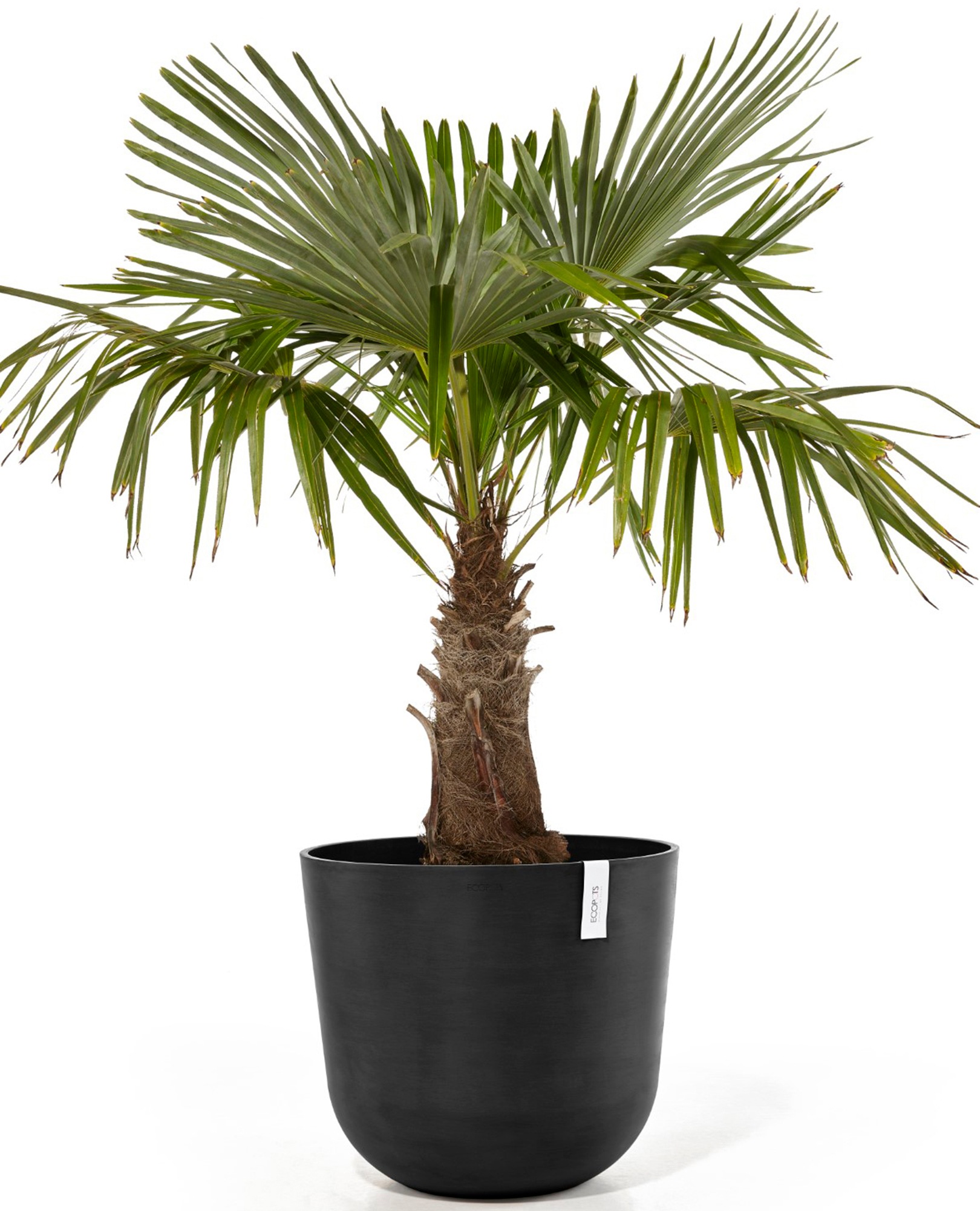 ECOPOTS Blumentopf »Oslo 55 + Wassersystem Dunkelgrau«, für innen und außen: frostsicher, bruchsicher und lichtbeständig