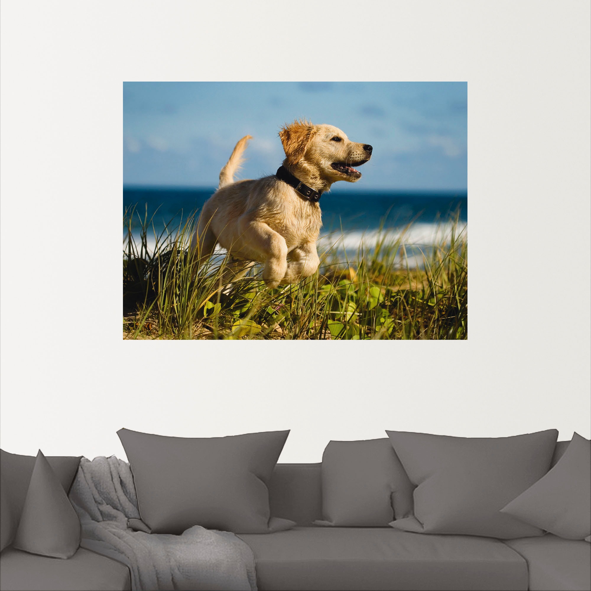 Artland Wandfolie »Hundebaby springt am Strand«, Haustiere, (1 St.), selbstklebend