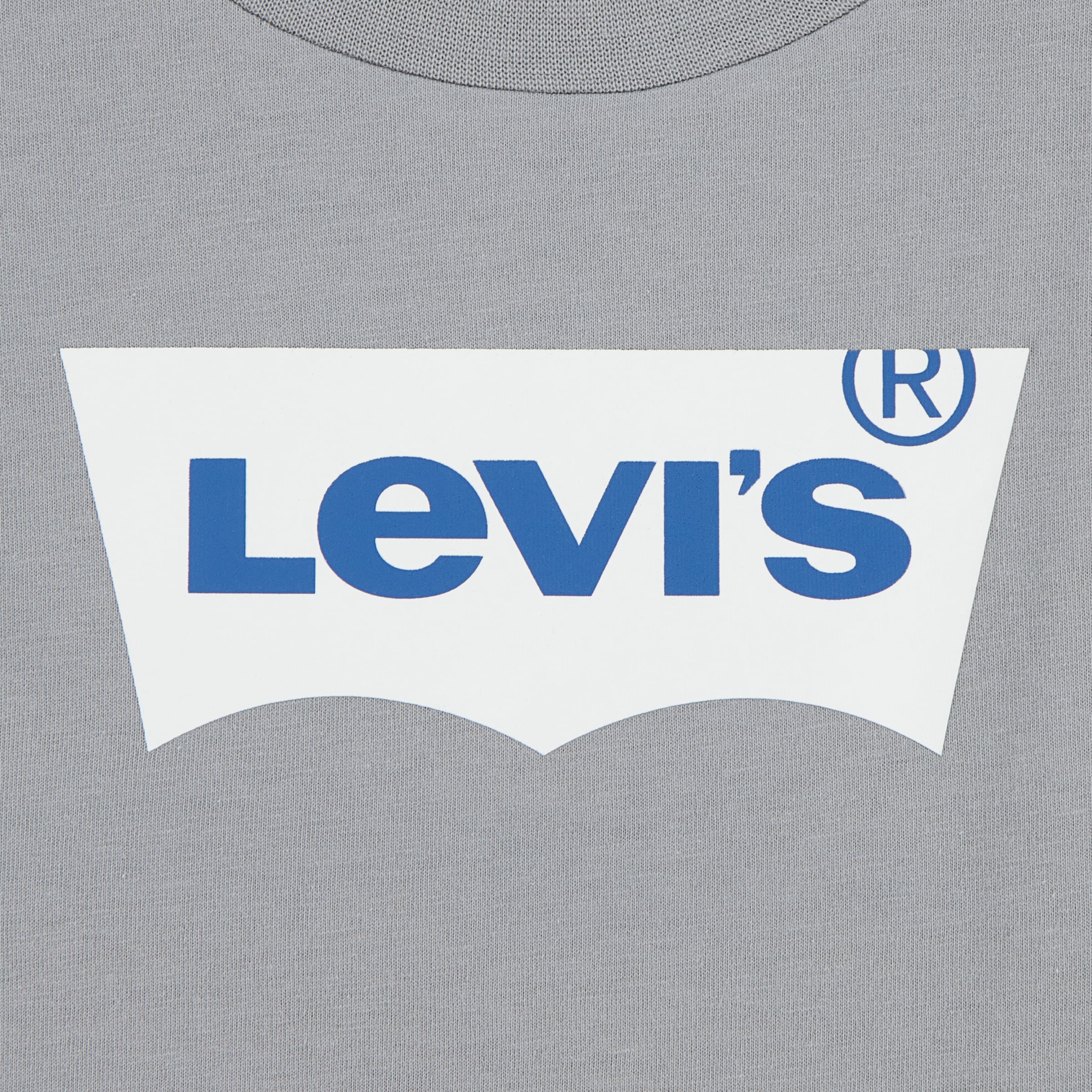 Levi's® Kids Langarmshirt »L/S BATWING TEE« mit Logo Print for BOYS