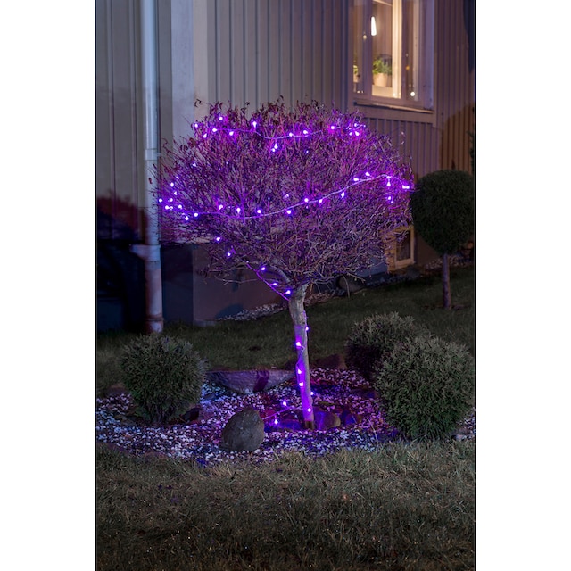 KONSTSMIDE LED-Lichterkette »Weihnachtsdeko aussen«, 80 St.-flammig, LED  Globelichterkette, runde Dioden, mit rot/blau Farbwechsel online kaufen