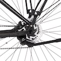 FISCHER Fahrrad E-Bike »VIATOR 6.0i Damen 504«, 10 Gang, (mit Akku-Ladegerät-mit Werkzeug)