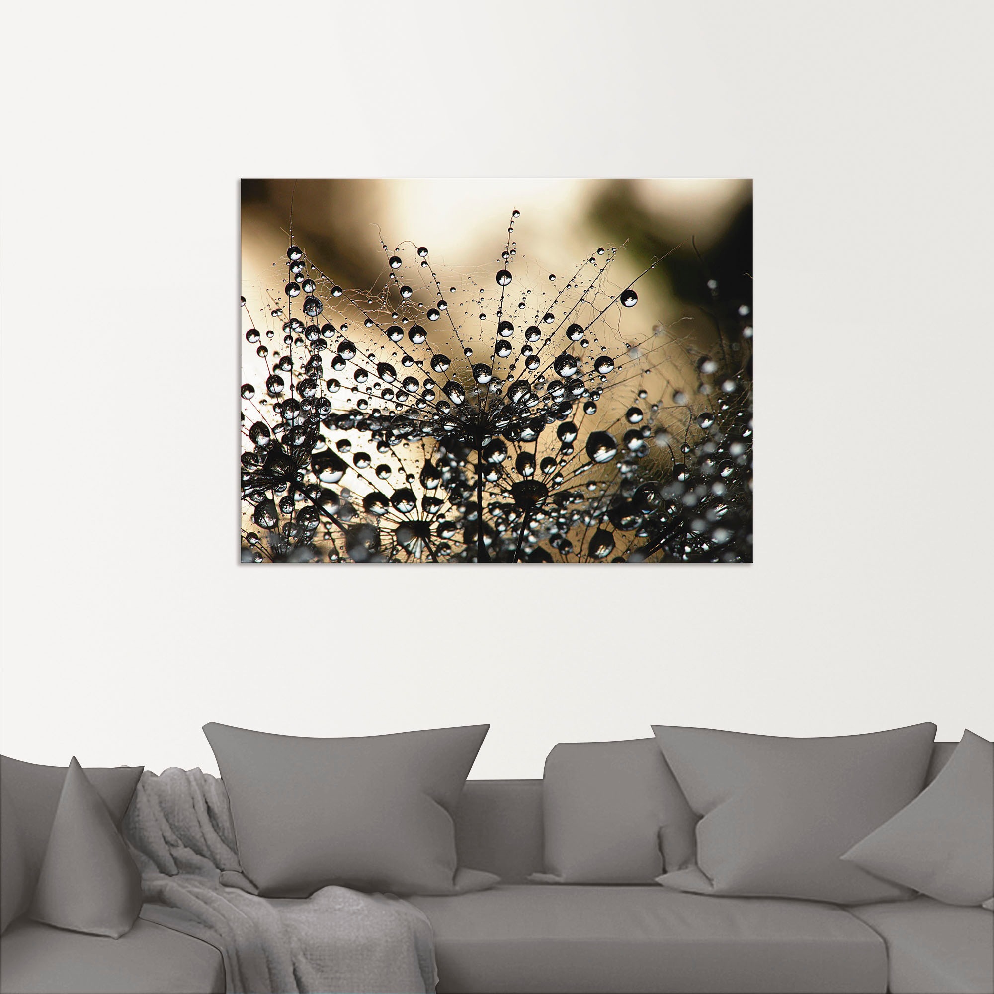 Artland Wandbild »Nasser Löwenzahn«, Blumen, (1 St.), als Alubild, Outdoorb günstig online kaufen