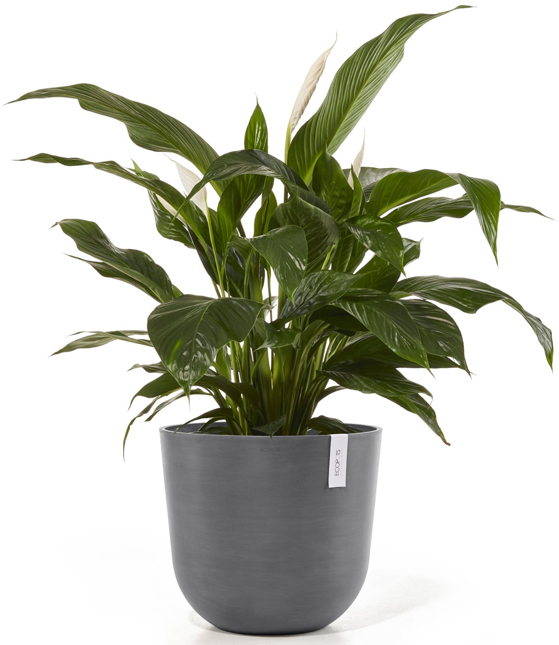 ECOPOTS Blumentopf »Oslo 45 + Wassersystem Grau«, für innen und außen: frostsicher, bruchsicher und lichtbeständig