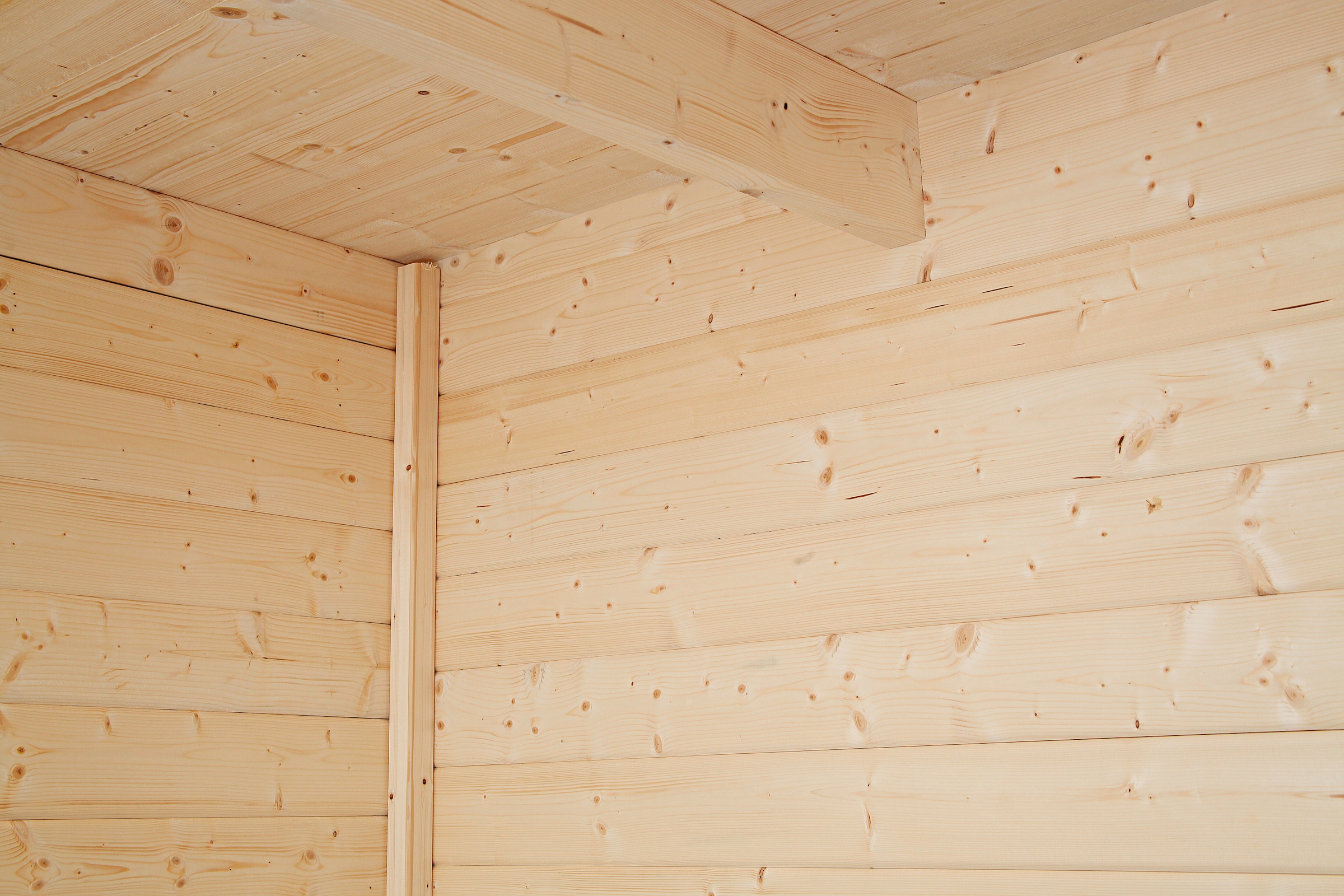Wolff Gartenhaus »Pulti Softline 3030«