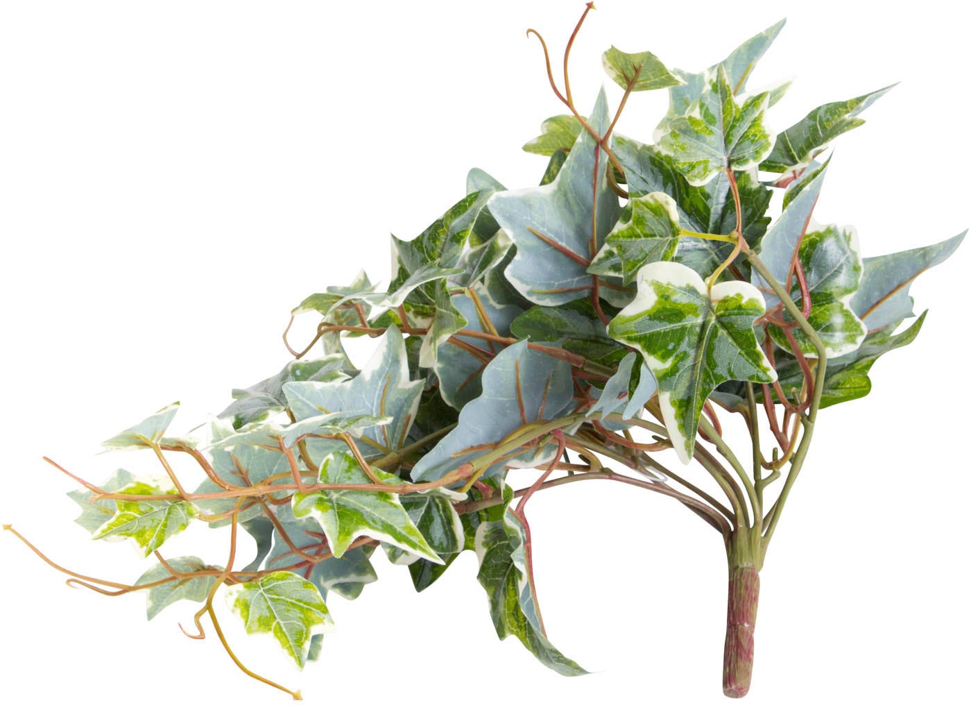 Botanic-Haus Künstliche Zimmerpflanze »Efeu-Hängebusch kaufen Rechnung auf mit Stielen«, St.) (1 9