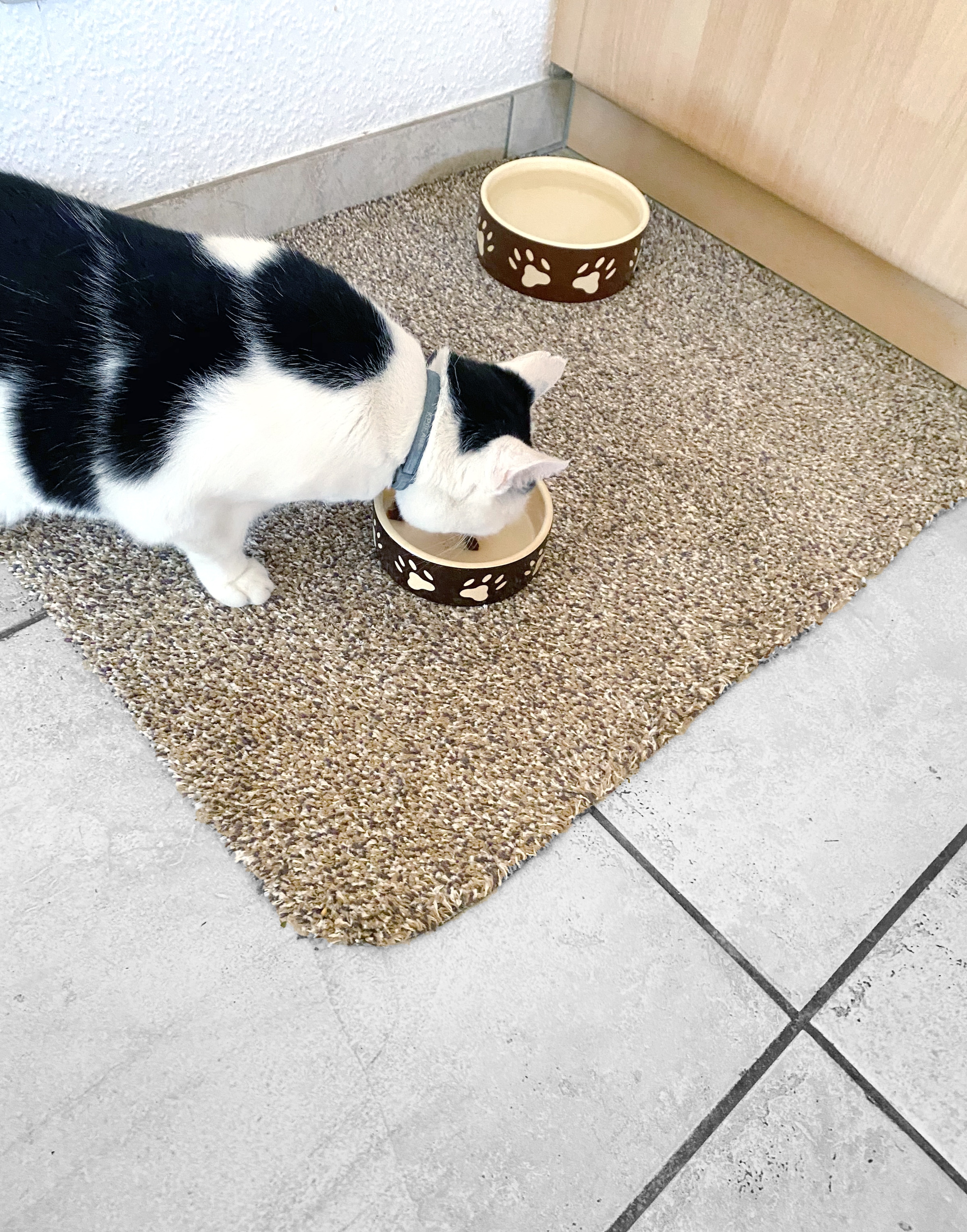 ASTRA Fußmatte »Saugstark 601« rechteckig 9 mm Höhe Schmutzfangmatte, In -und Outdoor geeignet