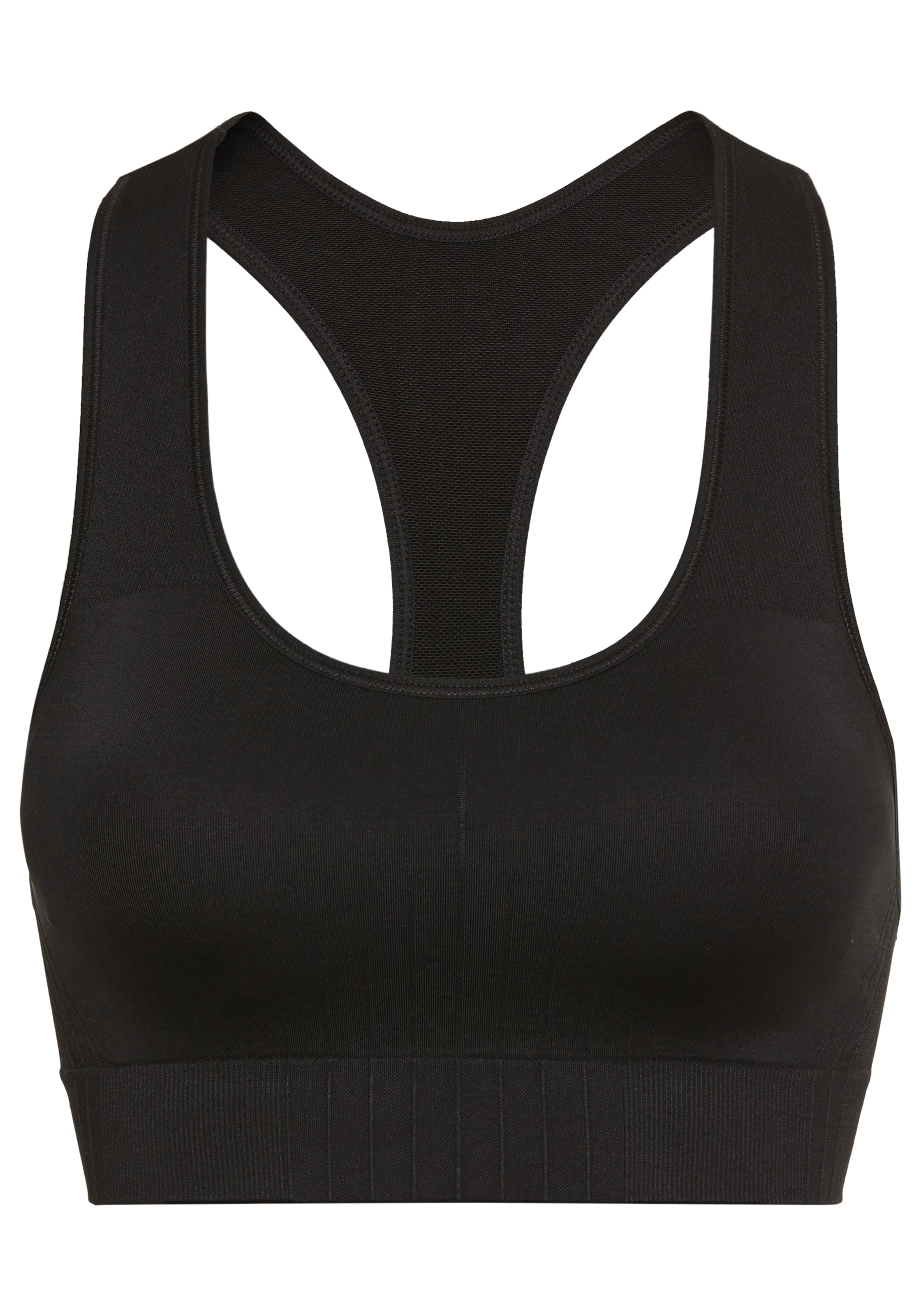 Champion Sport-BH