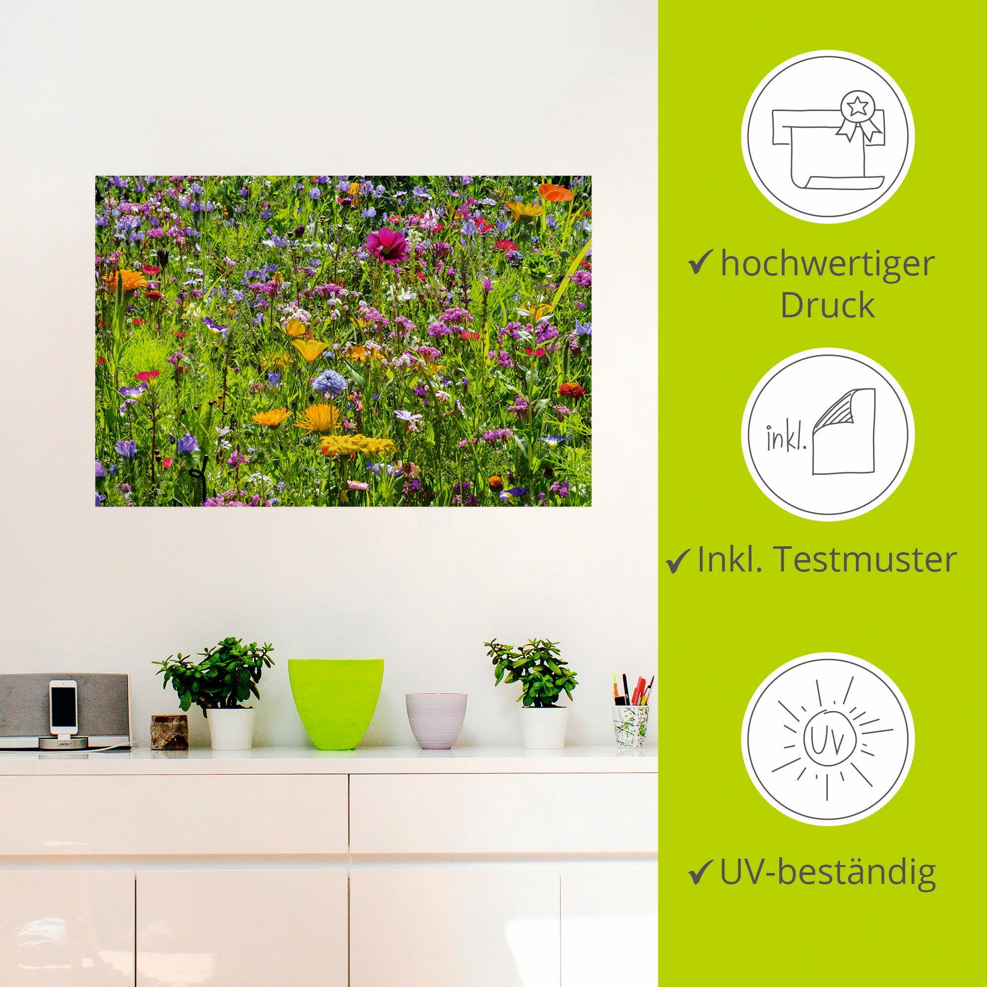 Artland Wandbild »Bunte Blumenwiese«, Blumenwiese, (1 St.), als Alubild, Outdoorbild, Leinwandbild, Poster, Wandaufkleber