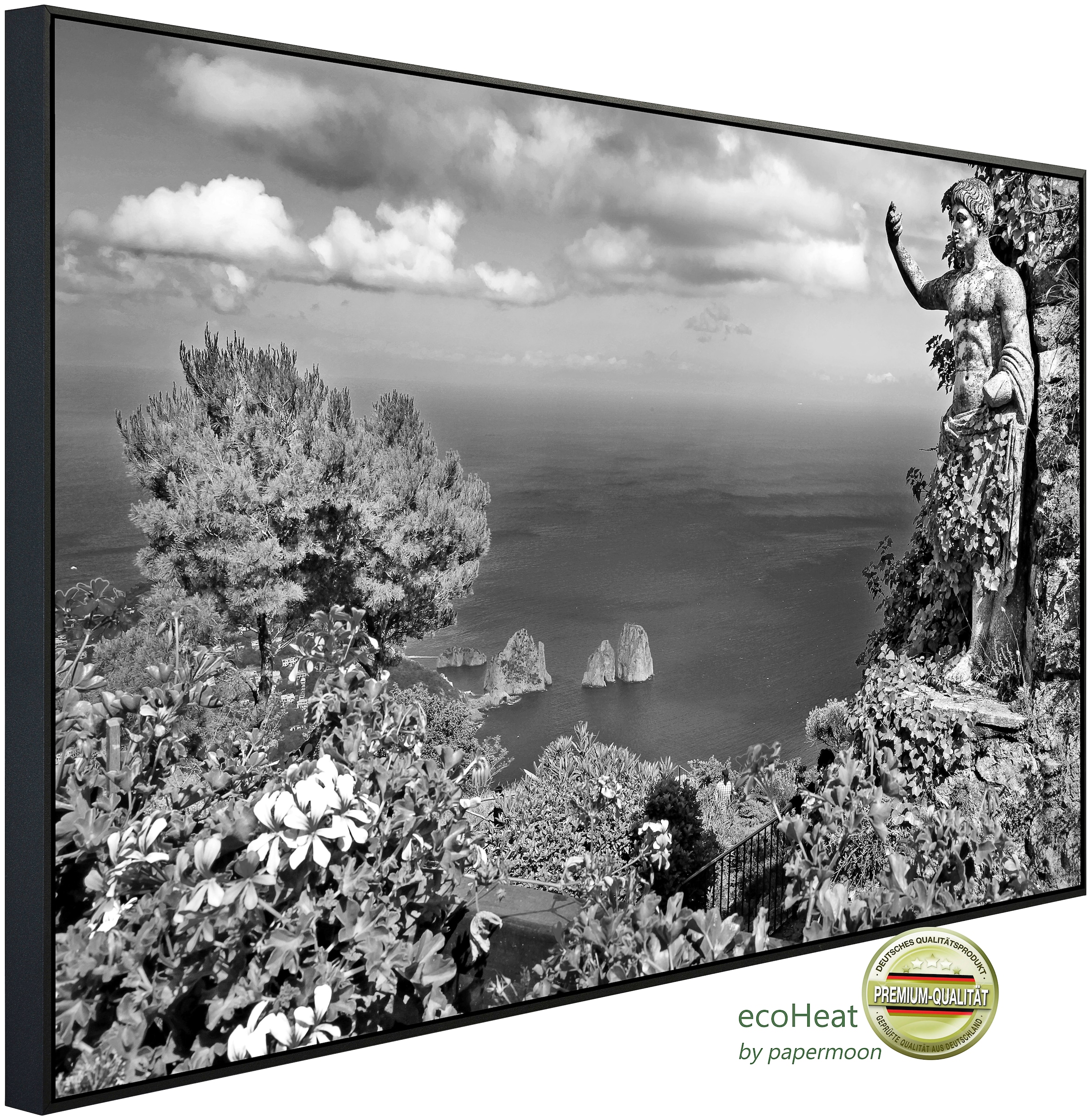 Papermoon Infrarotheizung »Landschaft mit Meer Schwarz Weiß«, sehr angenehm günstig online kaufen