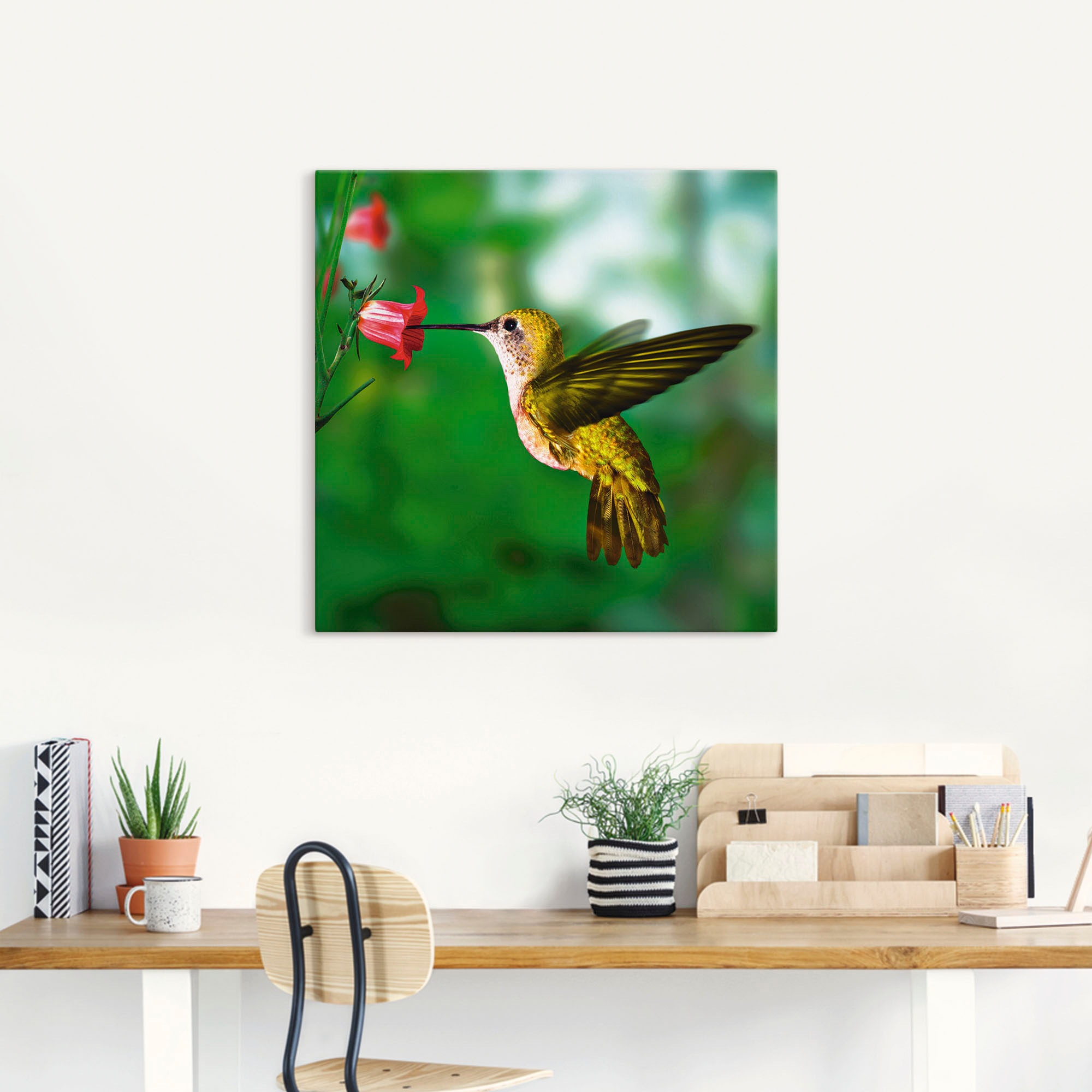 Artland Wandbild »Kolibri«, Vögel, (1 St.), als Alubild, Outdoorbild, Leinwandbild, Poster in verschied. Größen