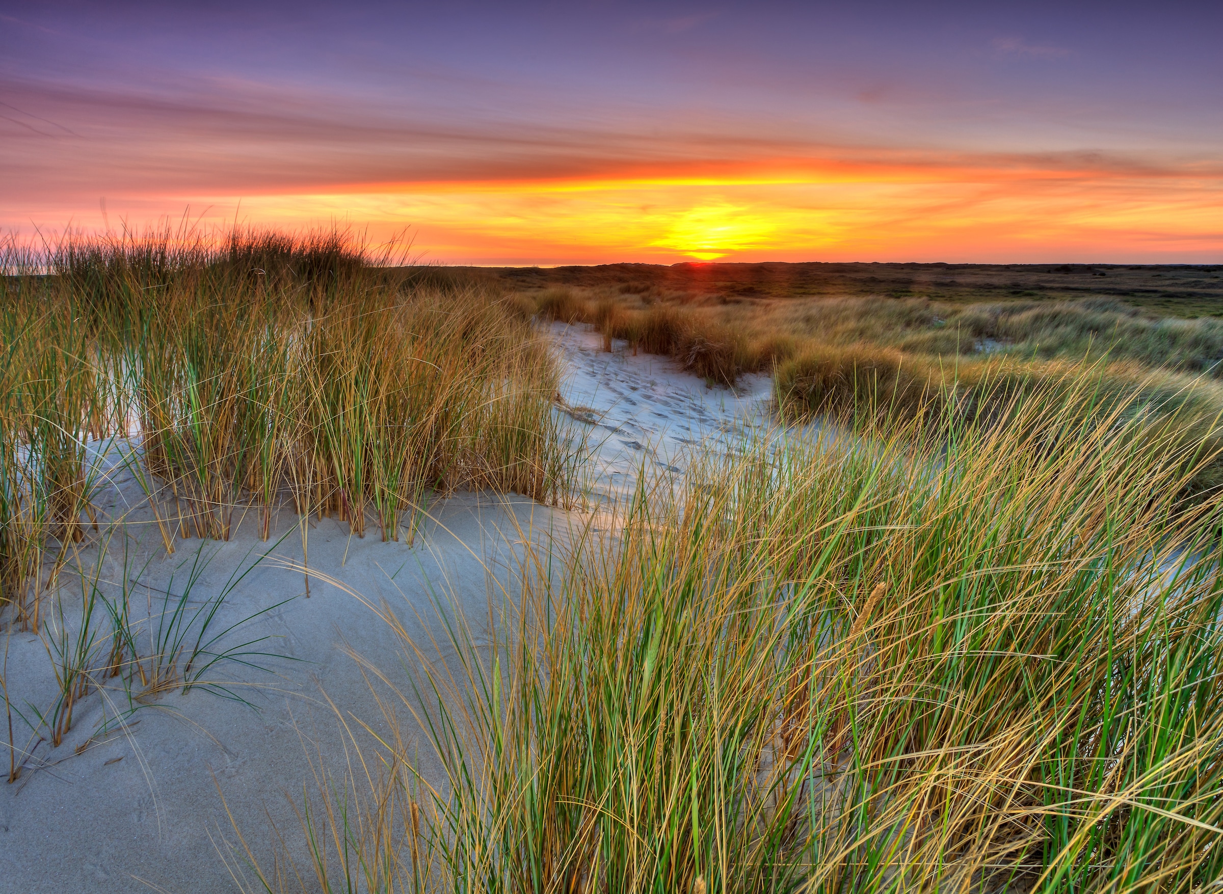 Papermoon Fototapete »Dunes Sunset« glatt günstig online kaufen
