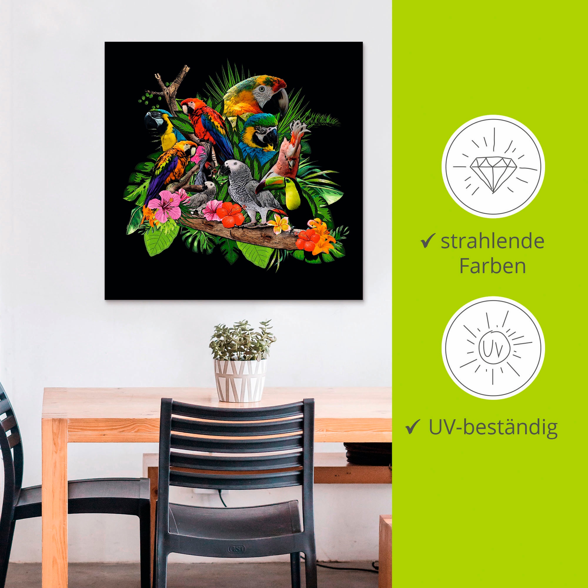 Artland Wandbild »Papageien Graupapagei Kakadu Dschungel«, Vögel, (1 St.), als Alubild, Outdoorbild, Leinwandbild, Poster, Wandaufkleber