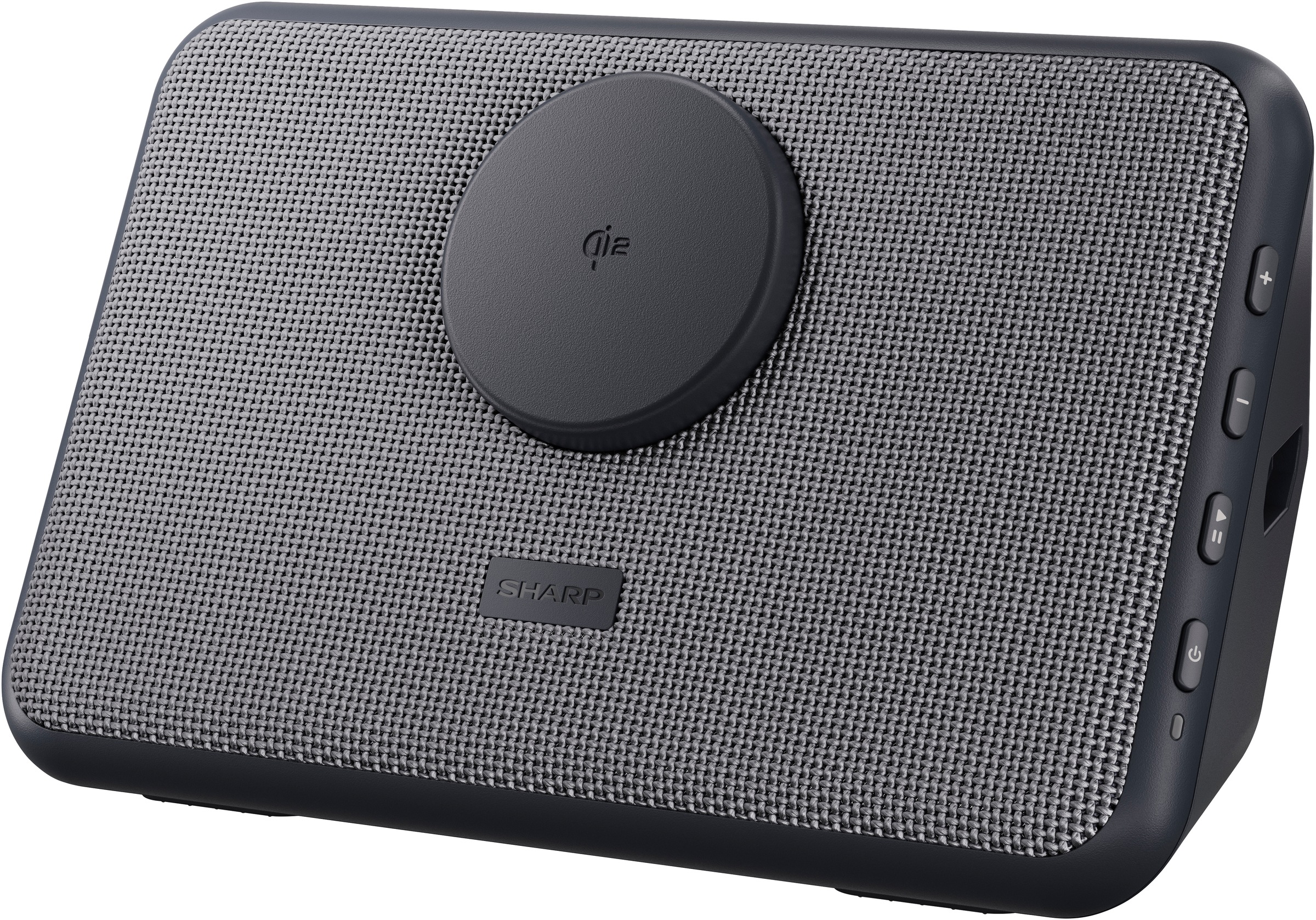 Sharp Bluetooth-Lautsprecher »CP-DS10« Stereo (A2DP Bluetooth | AVRCP Bluetooth | Bluetooth Apple Siri | Google Assistant | Ladefunktion für Mobilgeräte | Lautstärkeregelung )