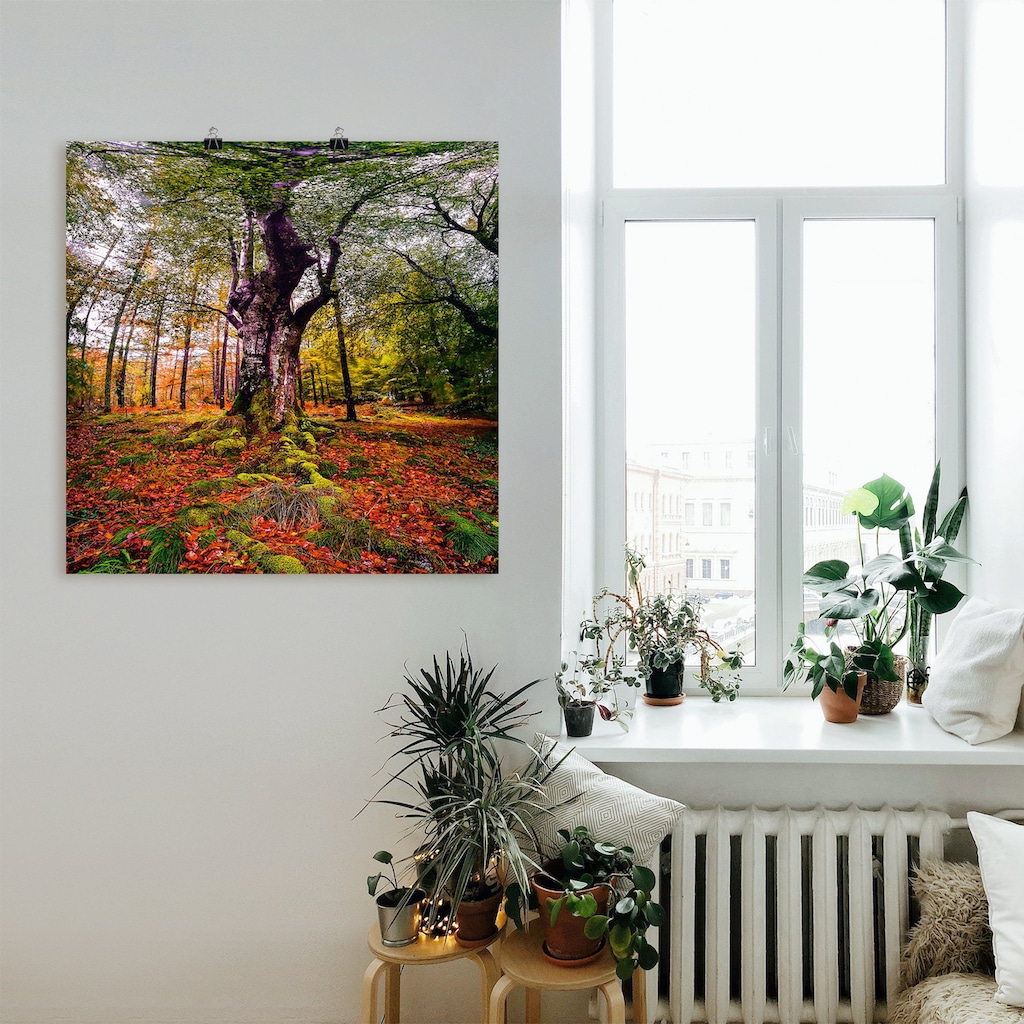 Artland Wandbild »Baum im Wald«, Baumbilder, (1 St.)