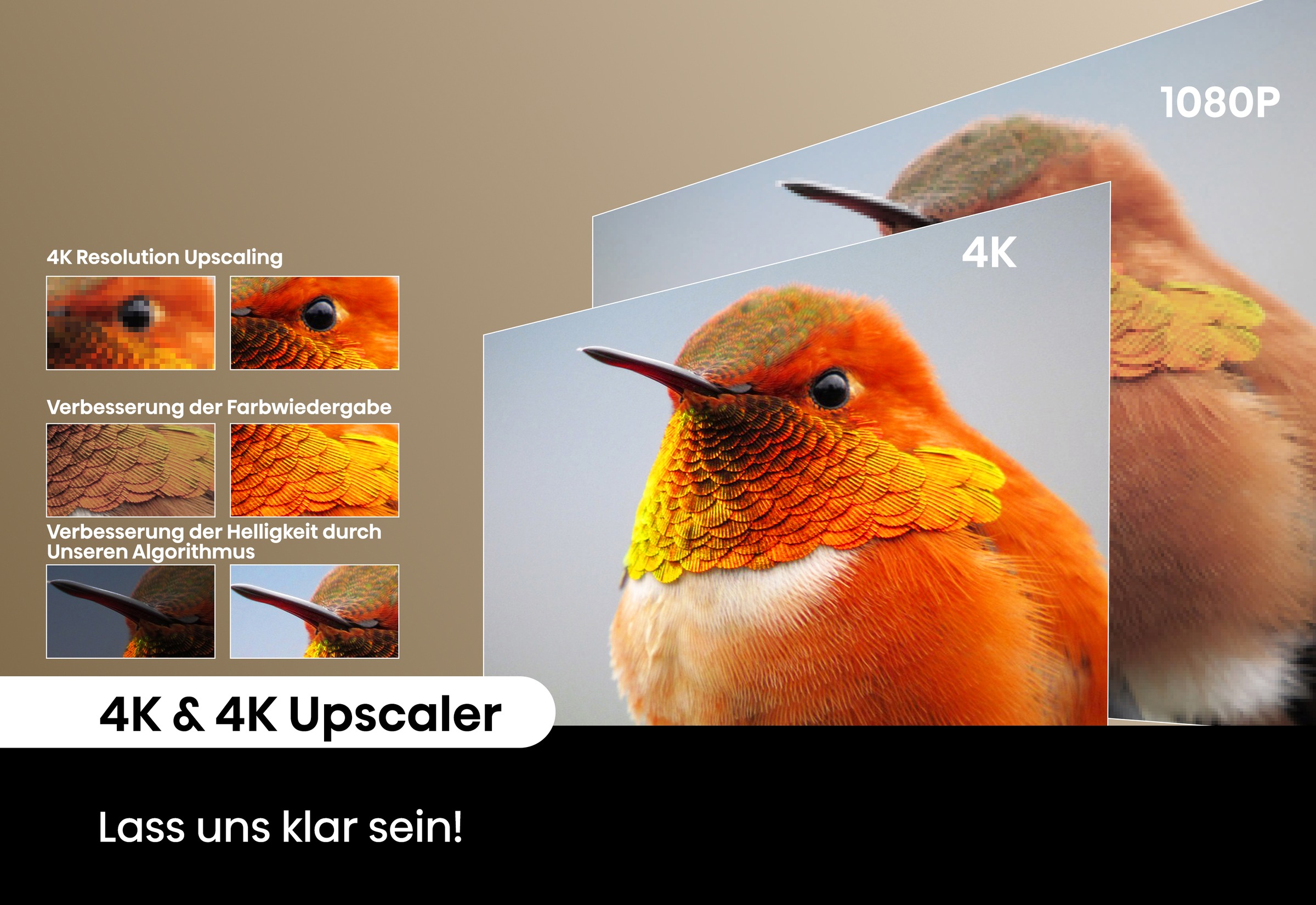 Hisense Mini-Beamer »C2«, (1700:1)