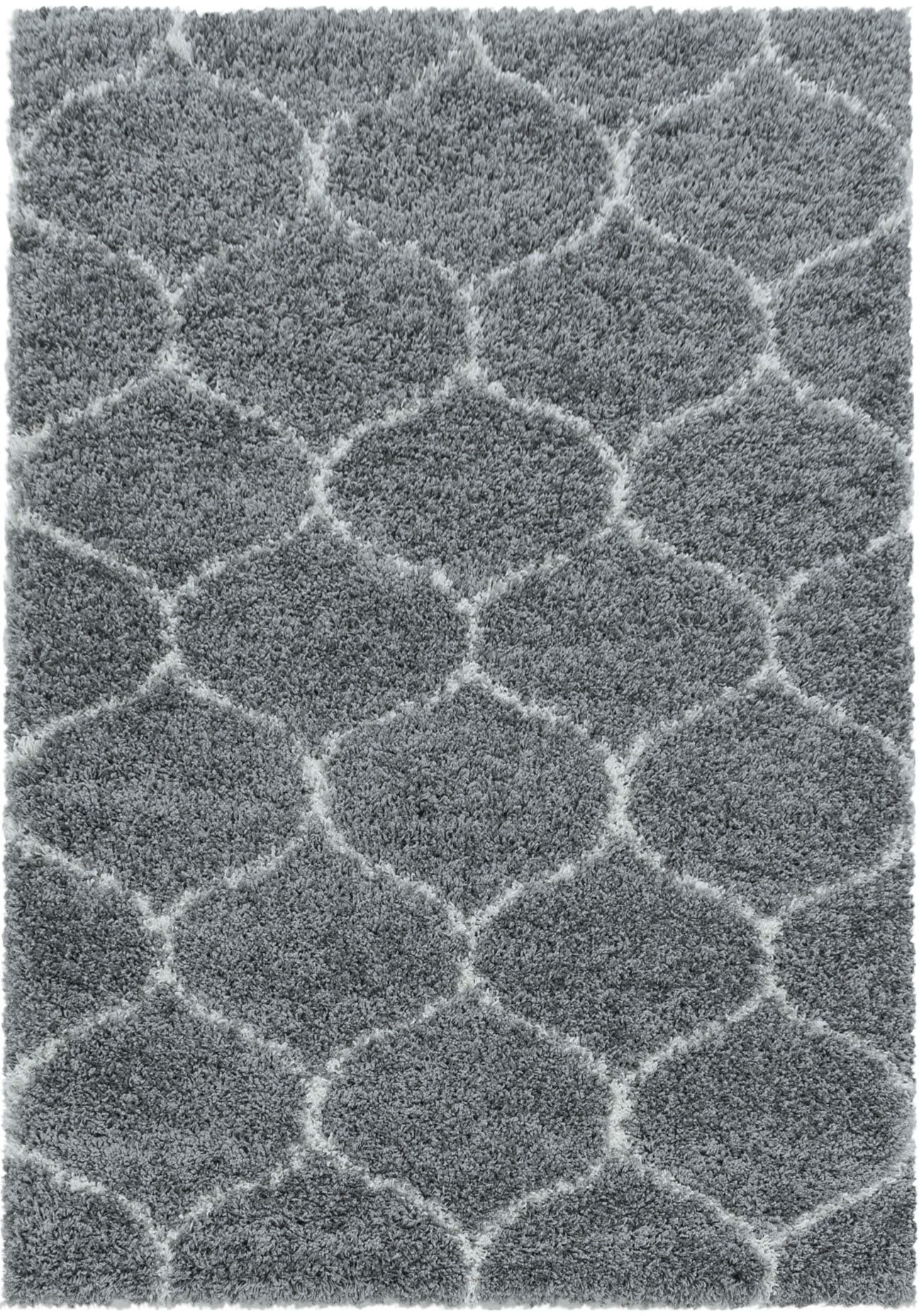 Ayyildiz Teppiche Hochflor-Teppich »SALSA 3201«, rechteckig, 50 mm Höhe, Wo günstig online kaufen