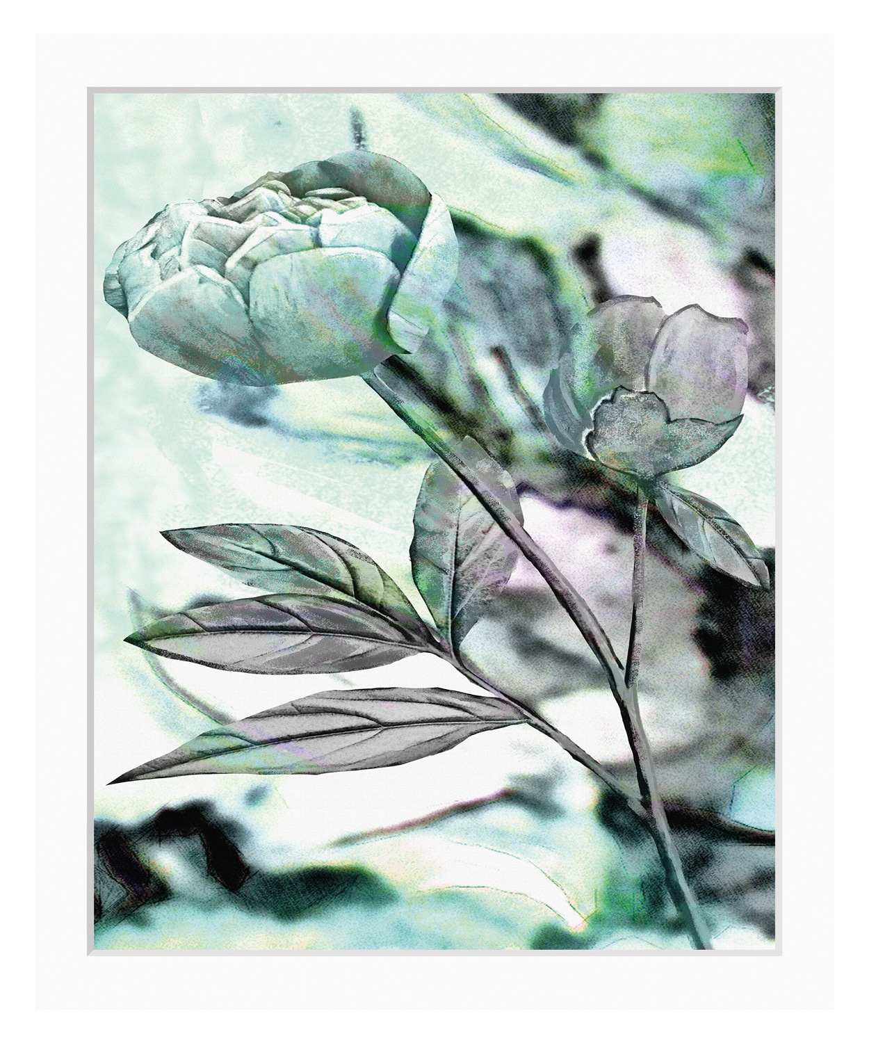 queence Bild »Elise«, Blumen, gerahmt, Rose günstig online kaufen