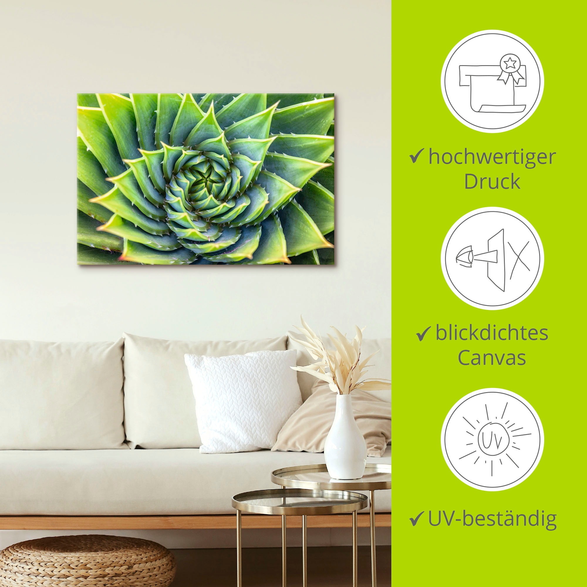 Artland Wandbild »Grüne Spirale«, Pflanzenbilder, (1 St.), als Alubild, Leinwandbild, Wandaufkleber oder Poster in versch. Größen