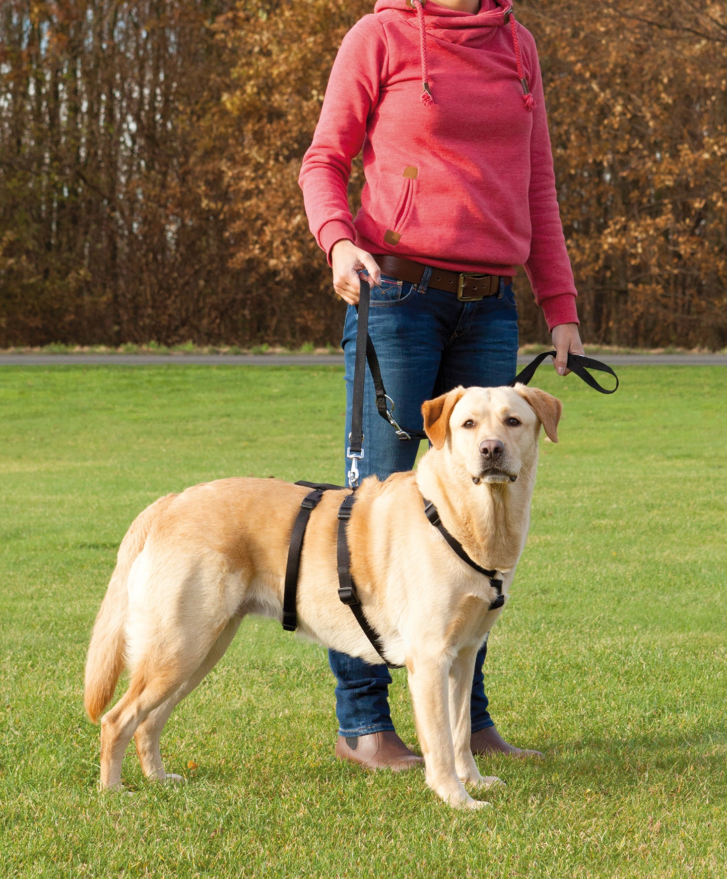 2. Bild von TRIXIE Hunde-Geschirr »Stay«, Nylon-Neopren