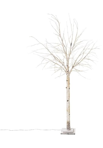 Schneider LED Baum »Crema, Weihnachtsdeko«, 132 flammig-flammig, LED-Birke, Höhe 200 cm kaufen