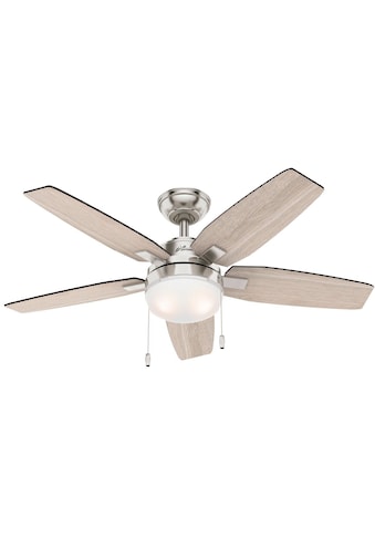 Deckenventilator »Arcot, 117cm Gebürstetes Nickel«