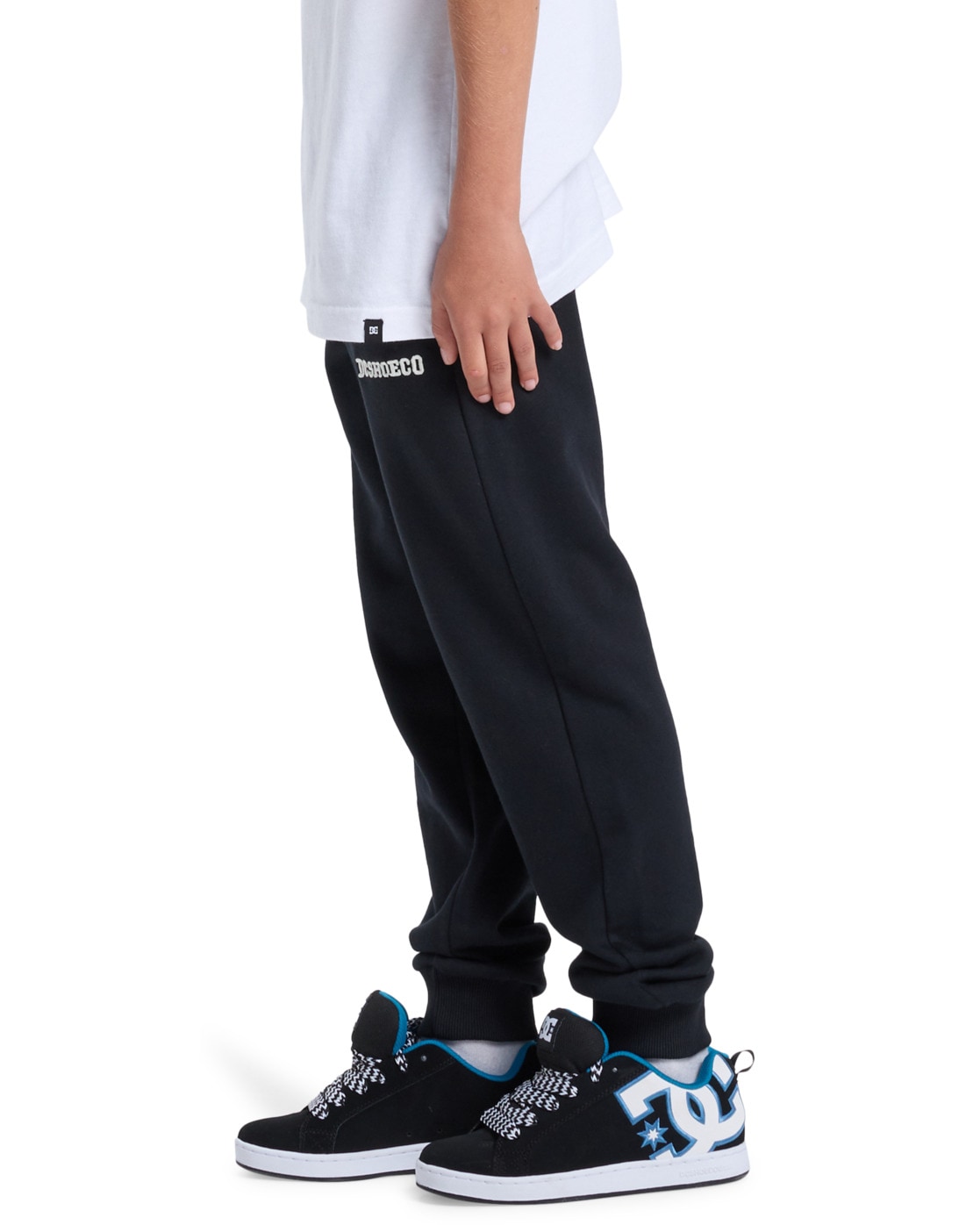 DC Shoes Jogger Pants »Baseline«
