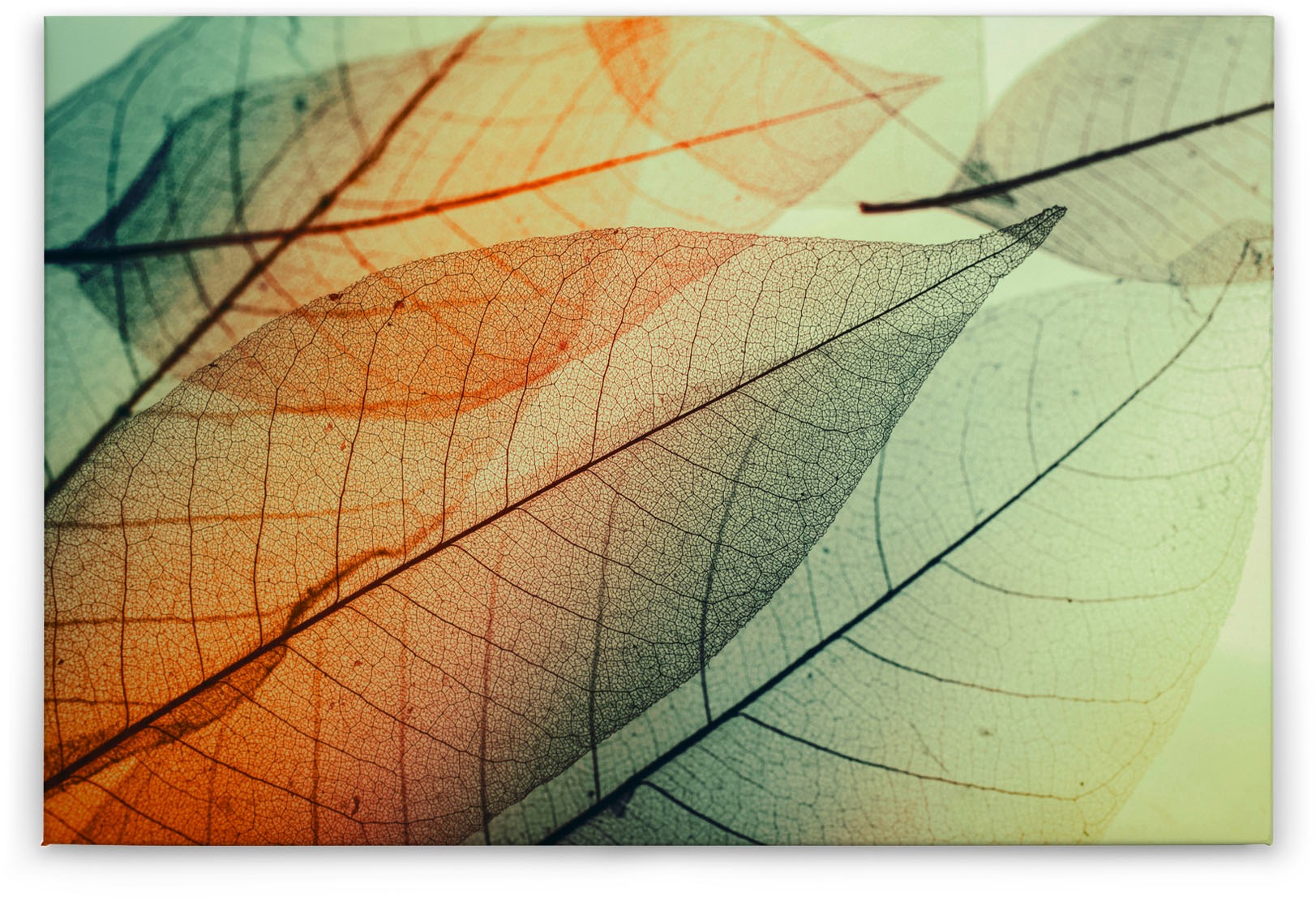 A.S. Création Leinwandbild »Limpid Leaf«, Kunst-Natur-Kinder, (1 St.), Keilrahmen Moderne Blätter Bunt Leinwand-Bild Wohnzimmer modern Kinder