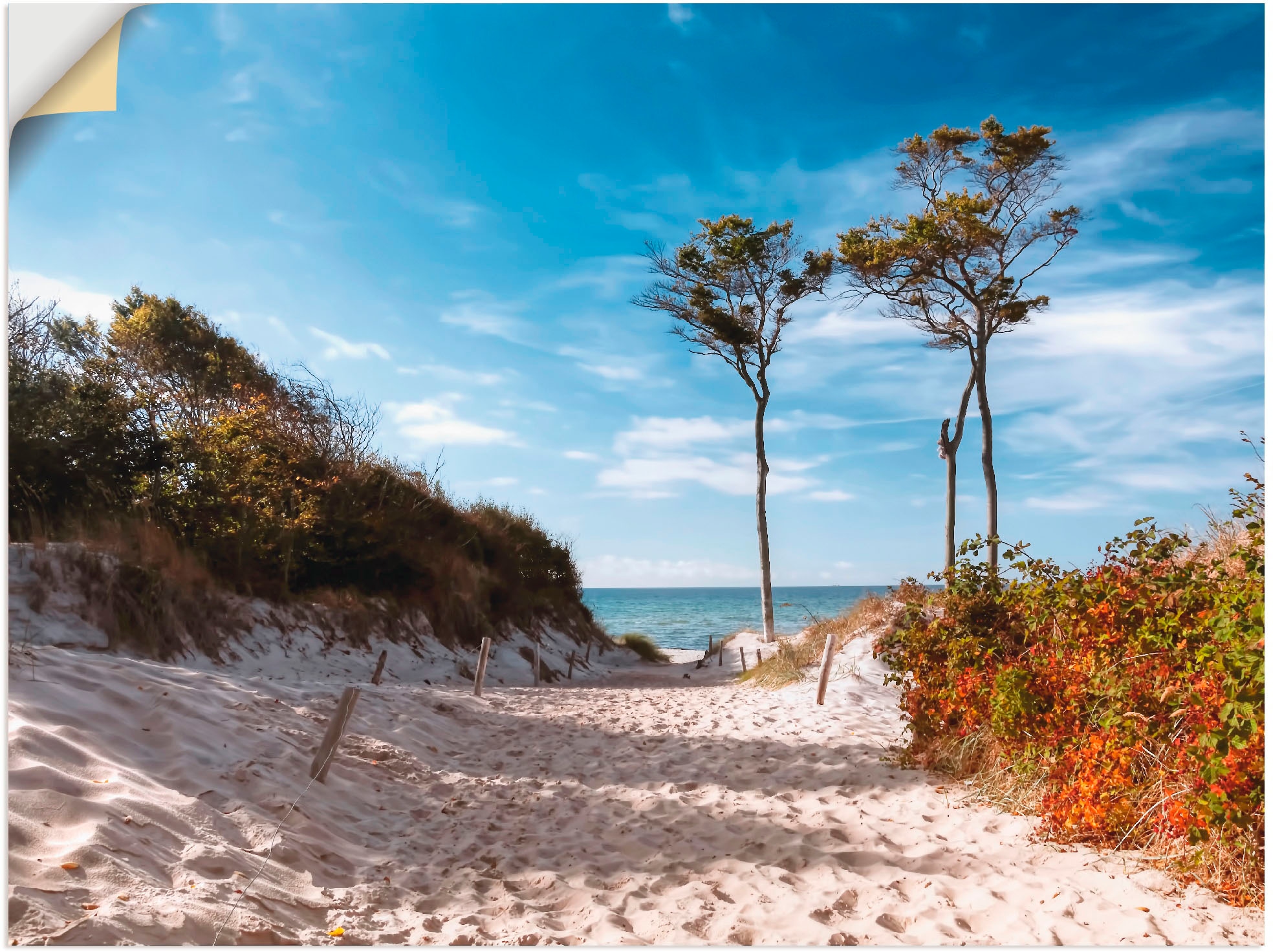 Artland Wandbild »Weststrand Darss«, Strand, (1 St.), als Leinwandbild, Pos günstig online kaufen