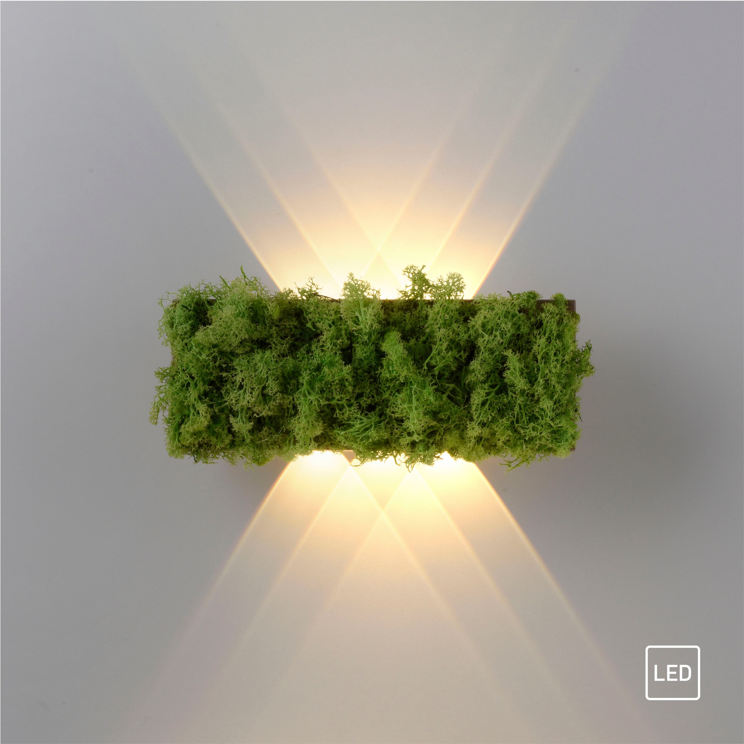 JUST LIGHT Wandleuchte »GREEN CARL«, 6 flammig