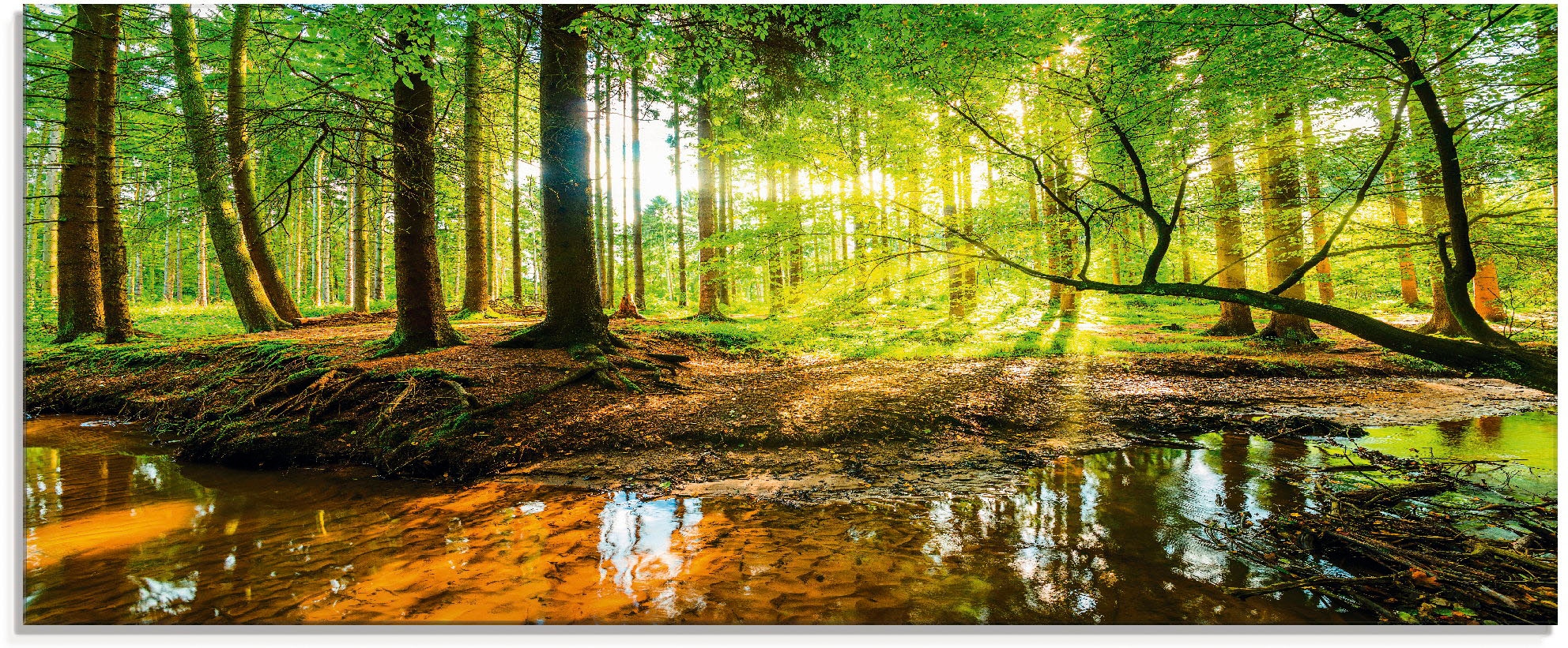 Artland Glasbild "Wald mit Bach", Wald, (1 St.), in verschiedenen Größen günstig online kaufen