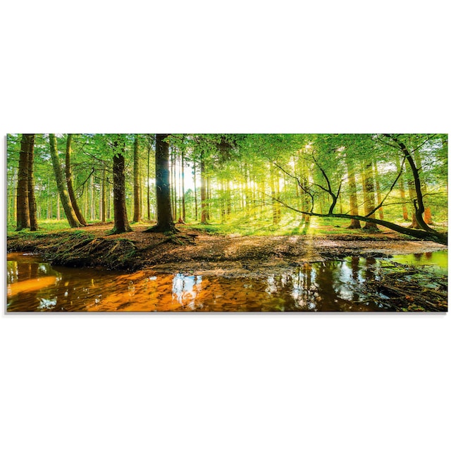 Glas-Bild Wandbilder Druck auf Glas 100x50 Deko Landschaften Bambuswald 