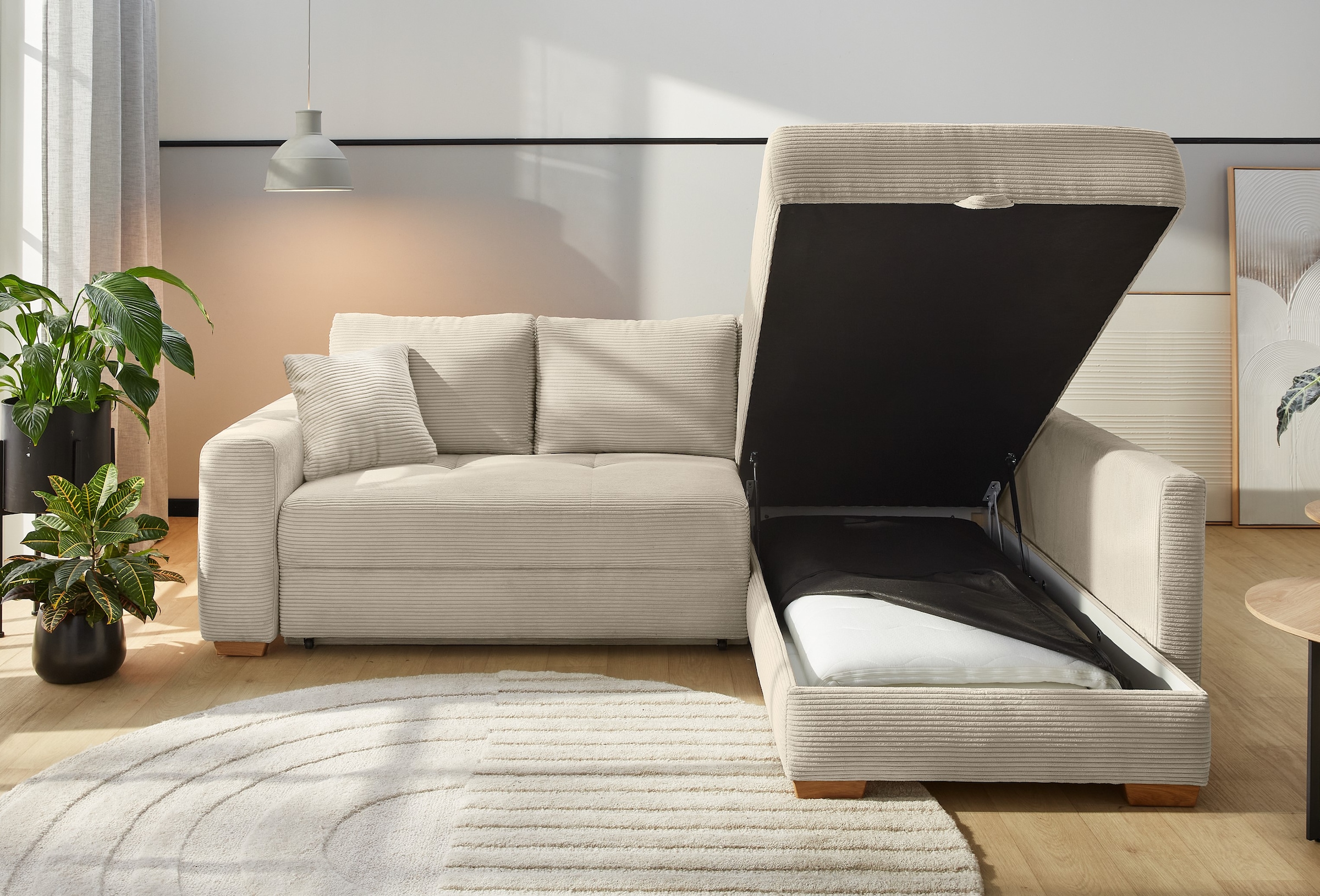 Jockenhöfer Gruppe Ecksofa "Sunset L-Form, B: 257 cm, Dauerschlafsofa mit" günstig online kaufen