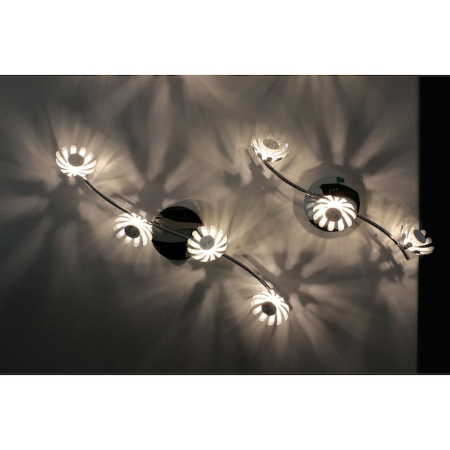 LUCE Design LED Deckenleuchte »Bloom« online kaufen