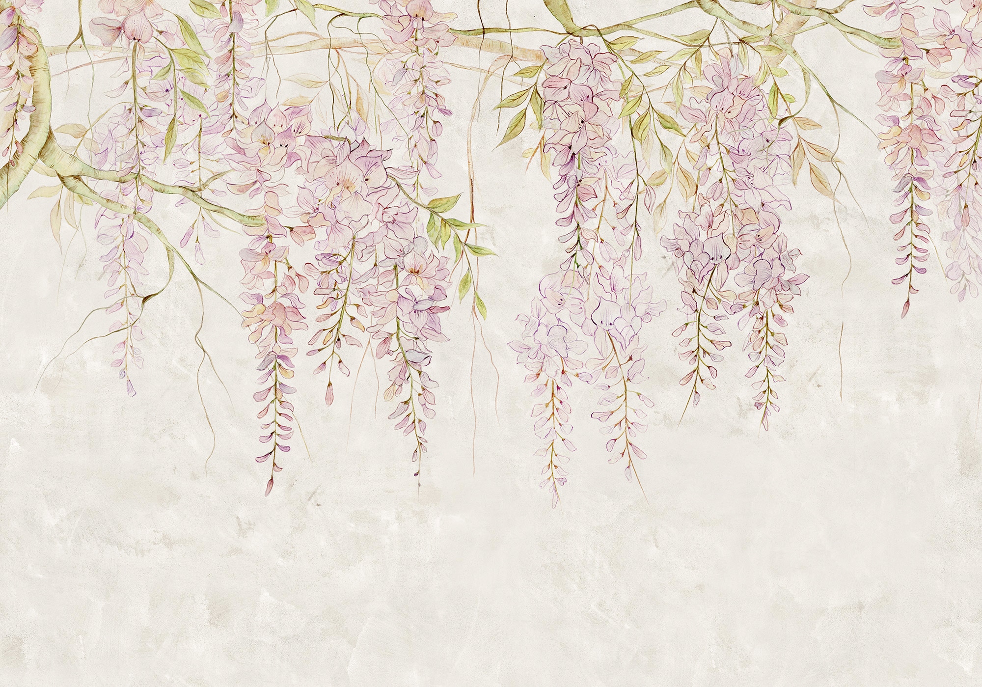 Komar Fototapete Wisteria B/L: ca. 400x280 cm günstig online kaufen