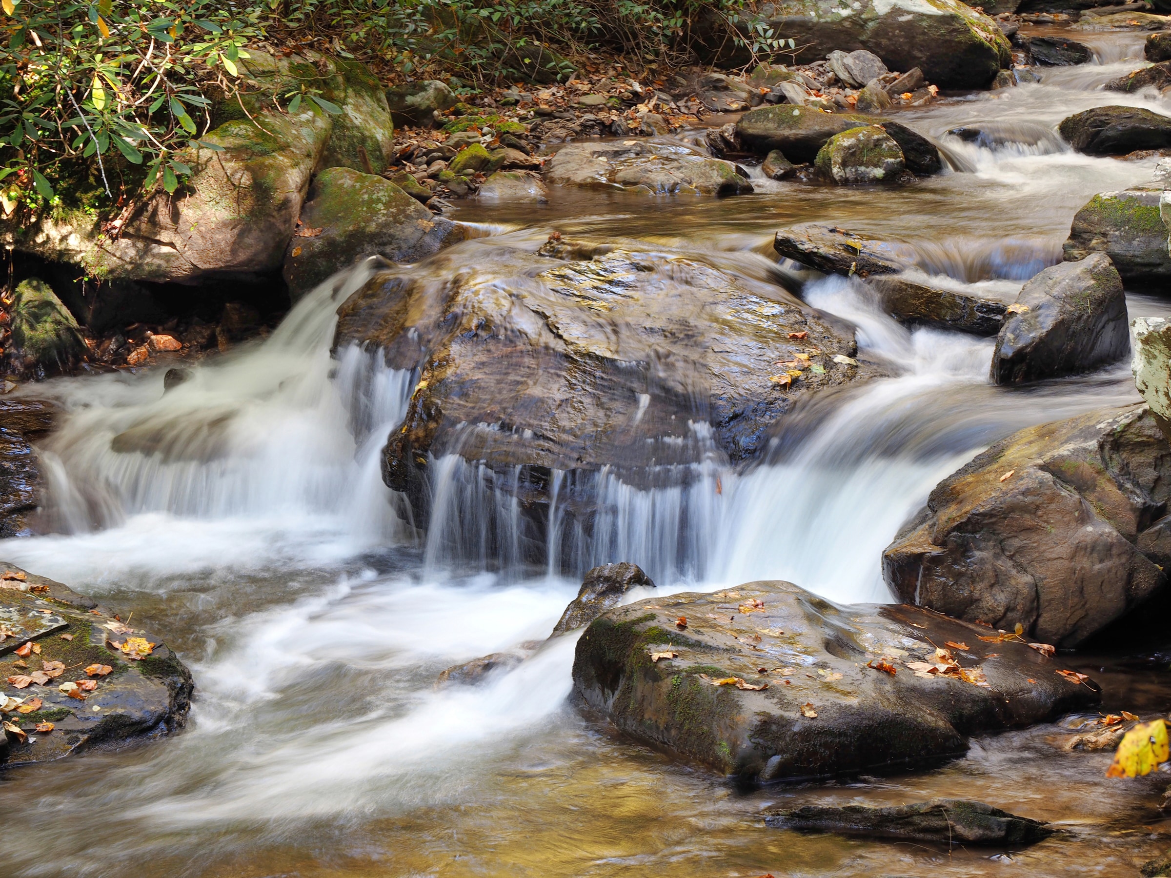 Papermoon Fototapete »WASSERFALL-BÄUME FLUSS SEE STEINE BLUME WALD BACH SON günstig online kaufen