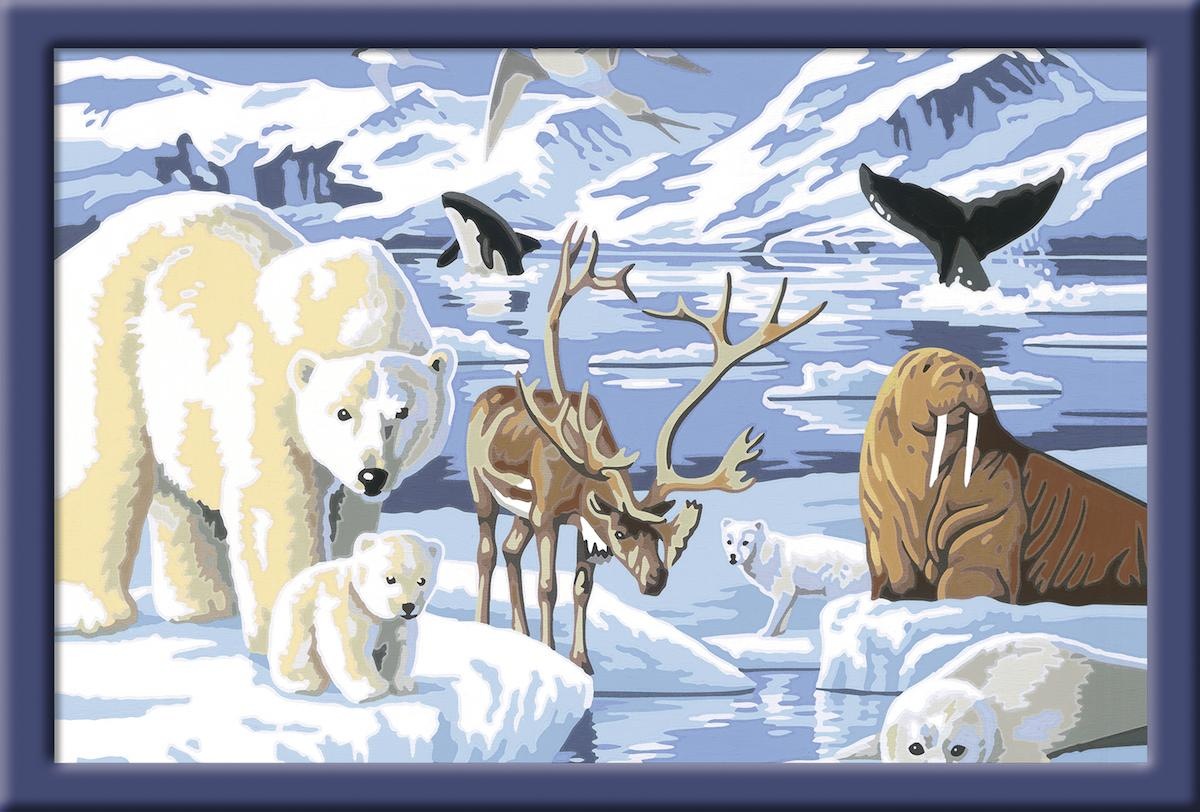 Ravensburger Malen nach Zahlen »Tiere der Arktis«, Made in Europe