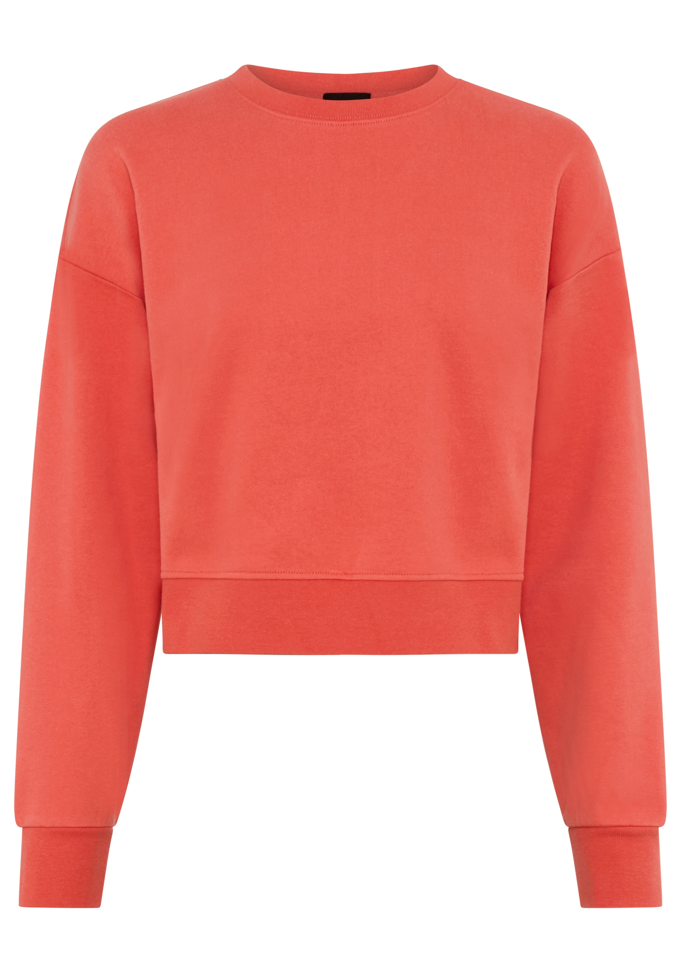 Laura Scott Sweatshirt, 1 Cropped Form
