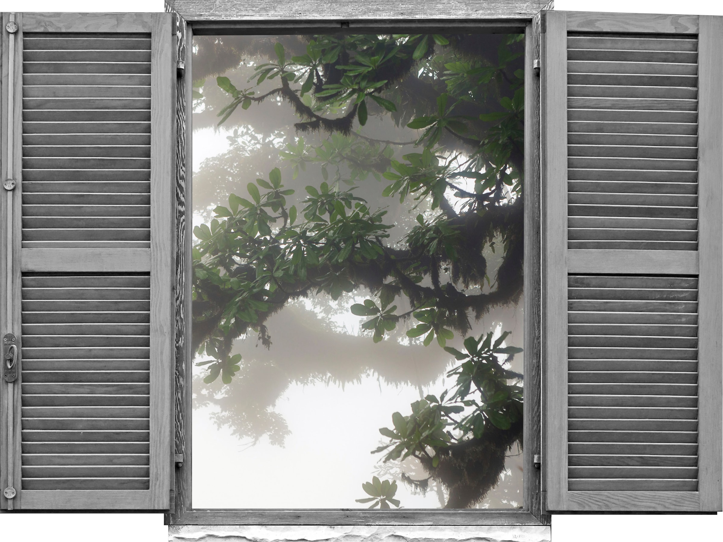 queence Wandtattoo »Asiatischer Baum« Wandsticker, Wandbild, selbstklebend, günstig online kaufen