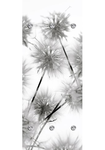 queence Garderobenleiste »Blüte«, mit 6 Haken, 50 x 120 cm kaufen