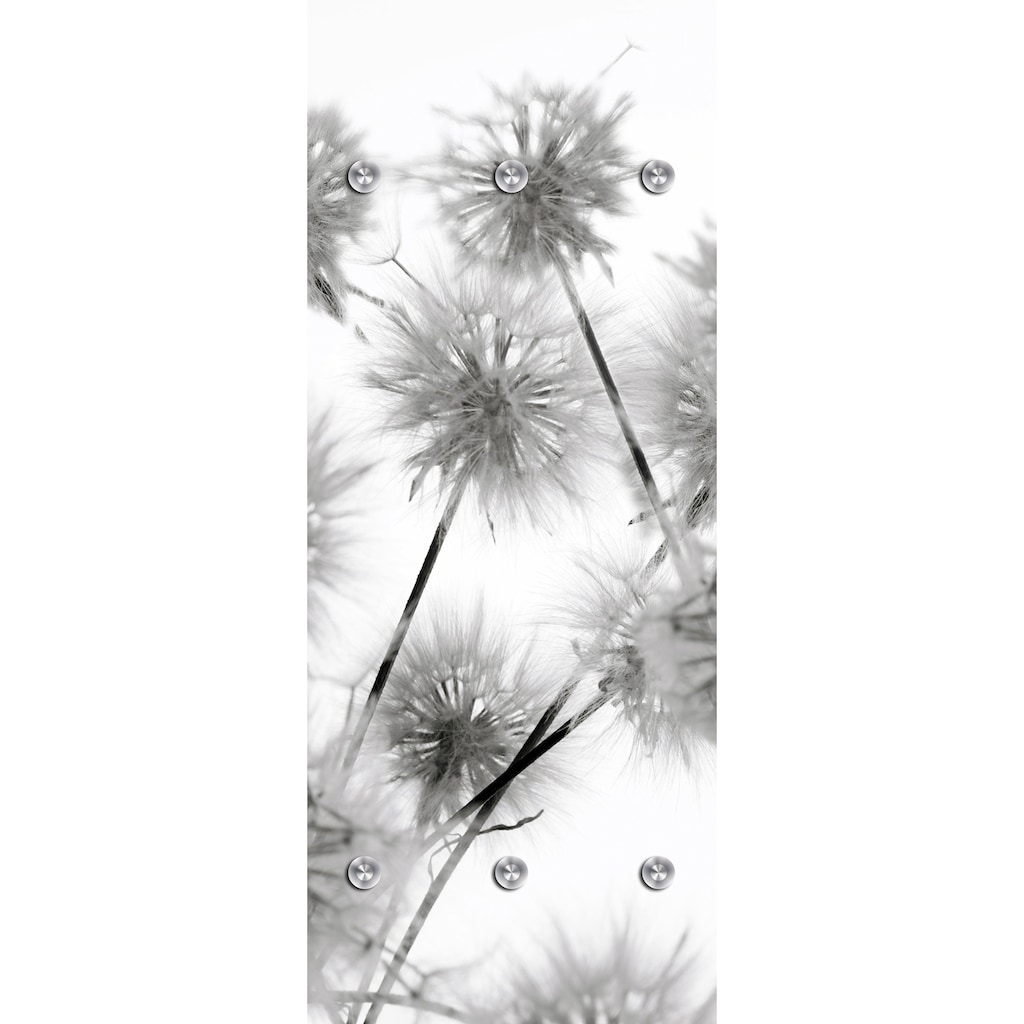 queence Garderobenpaneel »Blüte«, mit 6 Haken, 50 x 120 cm