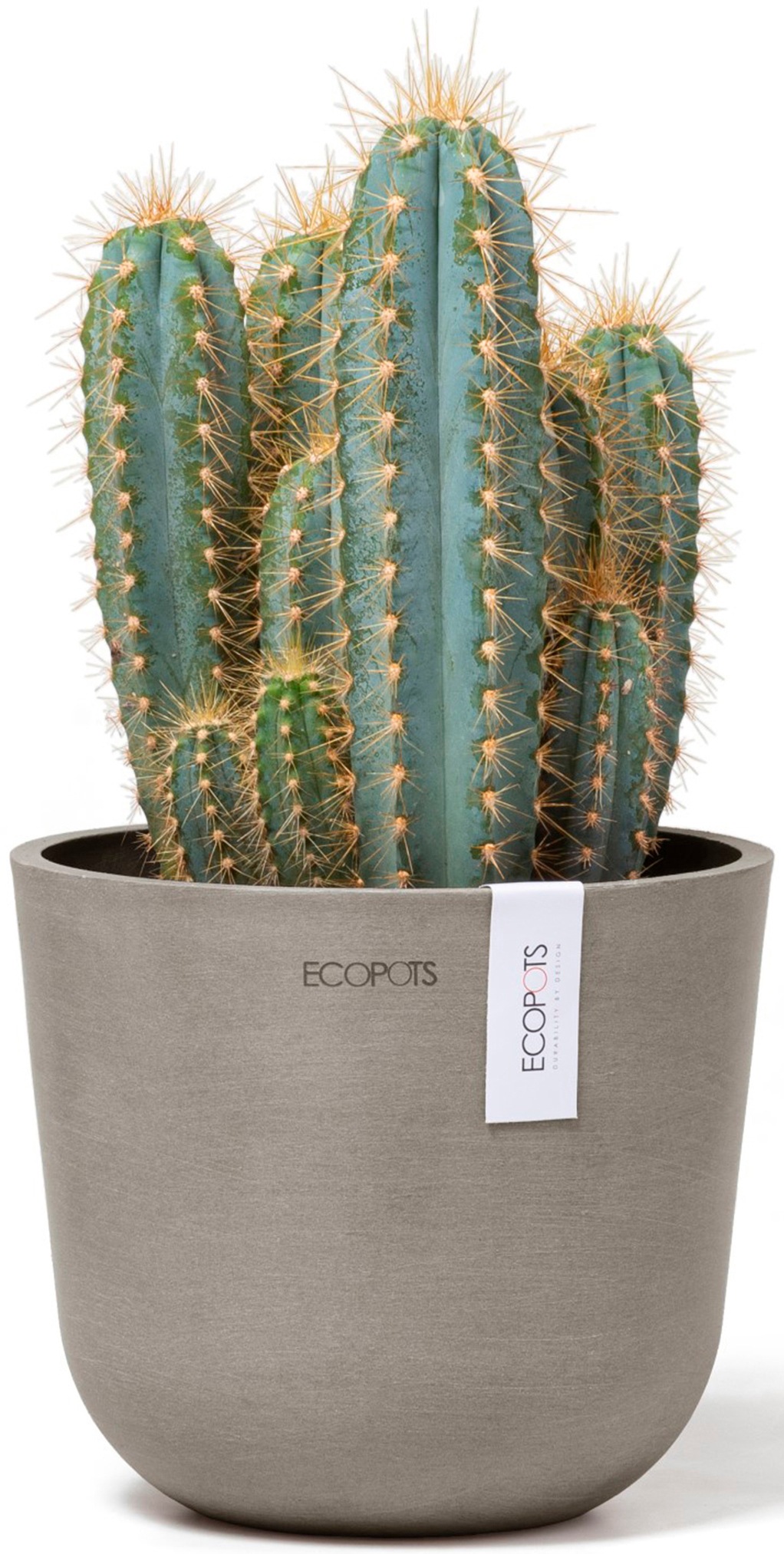 ECOPOTS Blumentopf »Oslo Mini 16 Taupe«, für den Innenbereich