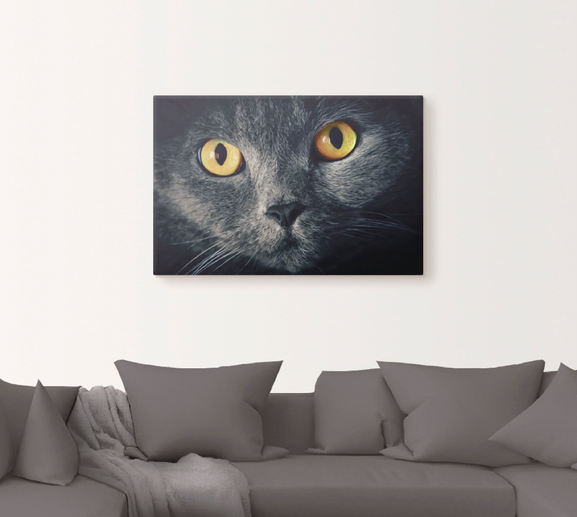 Artland Wandbild »Katzenaugen«, Haustiere, (1 St.), als Alubild, Outdoorbil günstig online kaufen