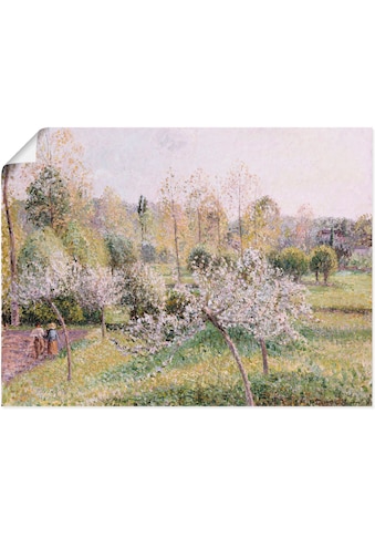 Artland Wandbild »Blühende Apfelbäume in Eragny. 1895«, Wiesen & Bäume, (1 St.), in... kaufen
